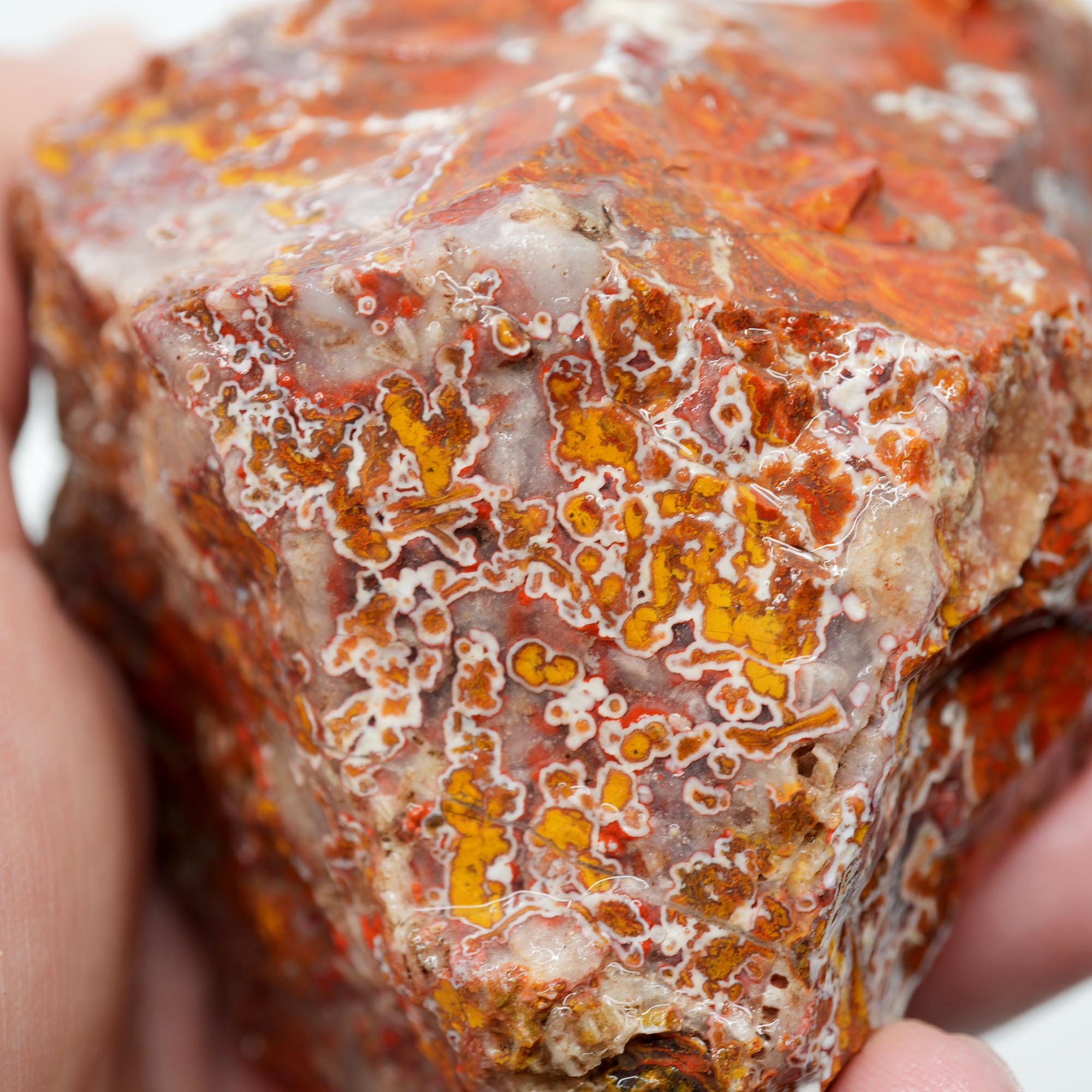 Apple Valley Agate Rough - Christmas Red Tube Pseudomorph