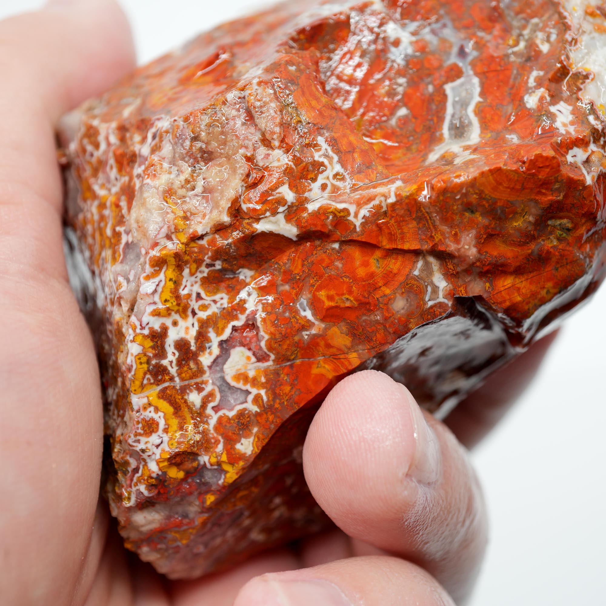 Apple Valley Agate Rough - Christmas Red Tube Pseudomorph