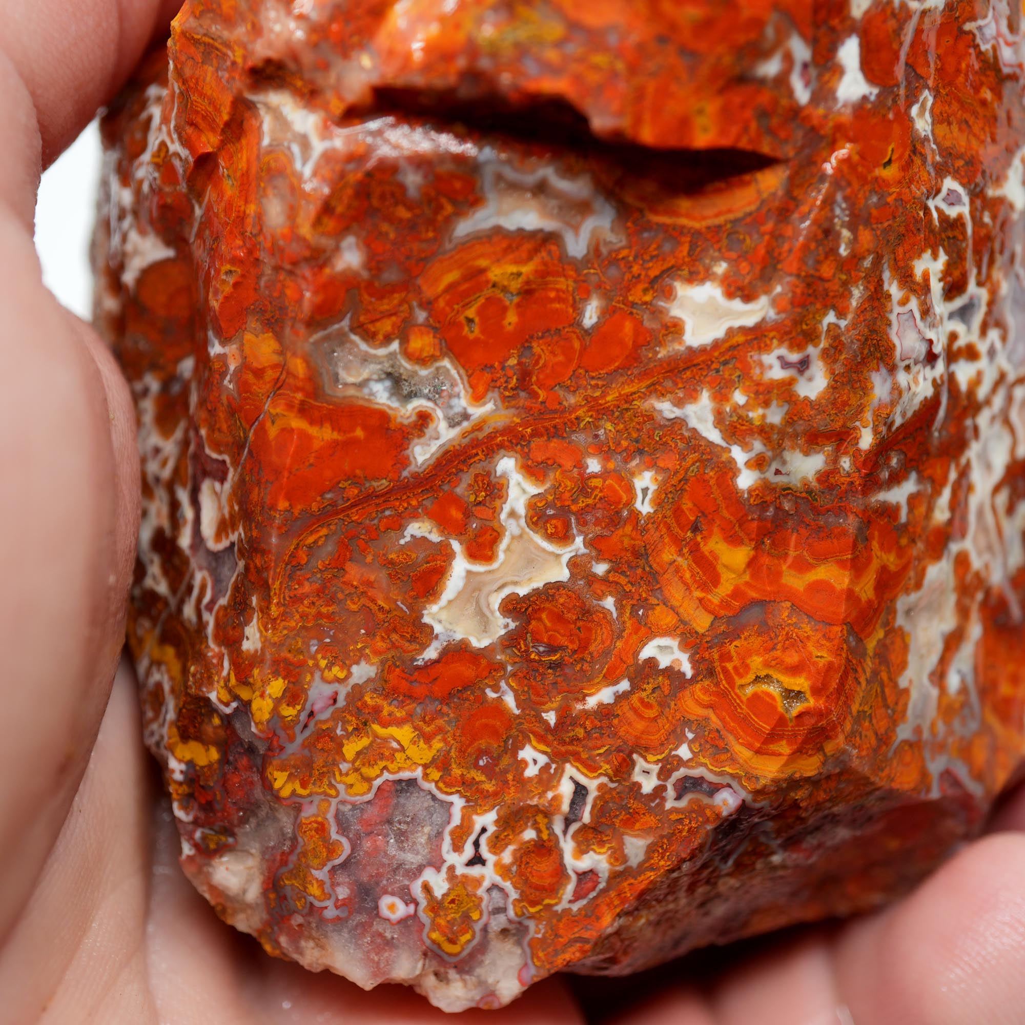 Apple Valley Agate Rough - Christmas Red Tube Pseudomorph