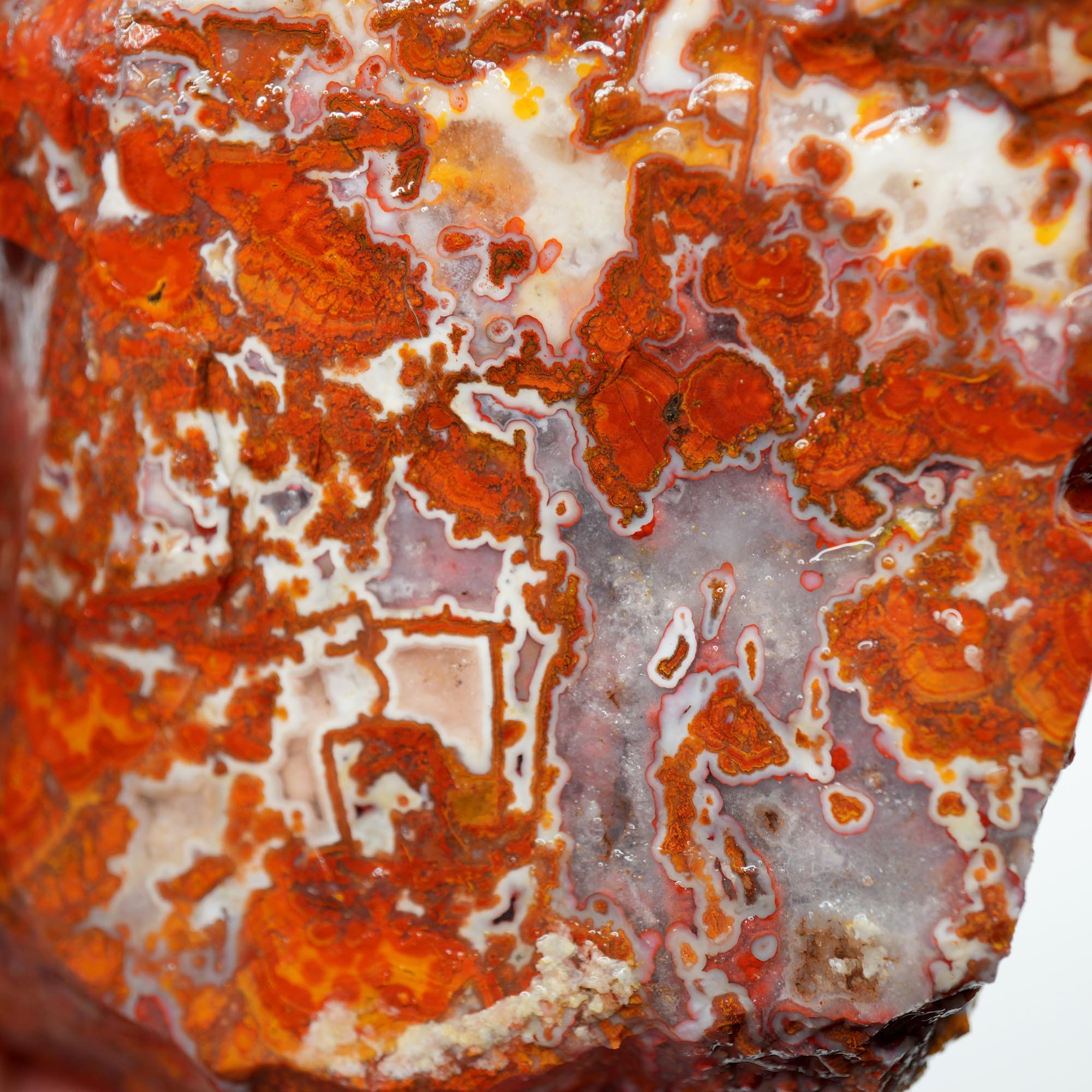 Apple Valley Agate Rough - Christmas Red Tube Pseudomorph