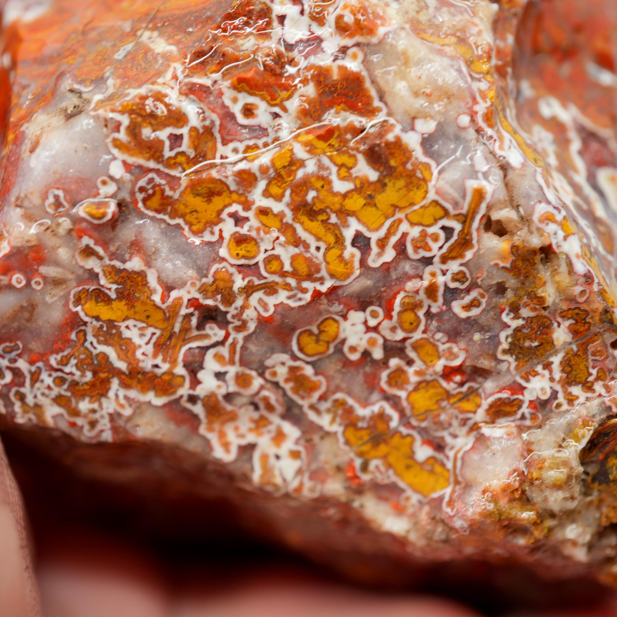 Apple Valley Agate Rough - Christmas Red Tube Pseudomorph