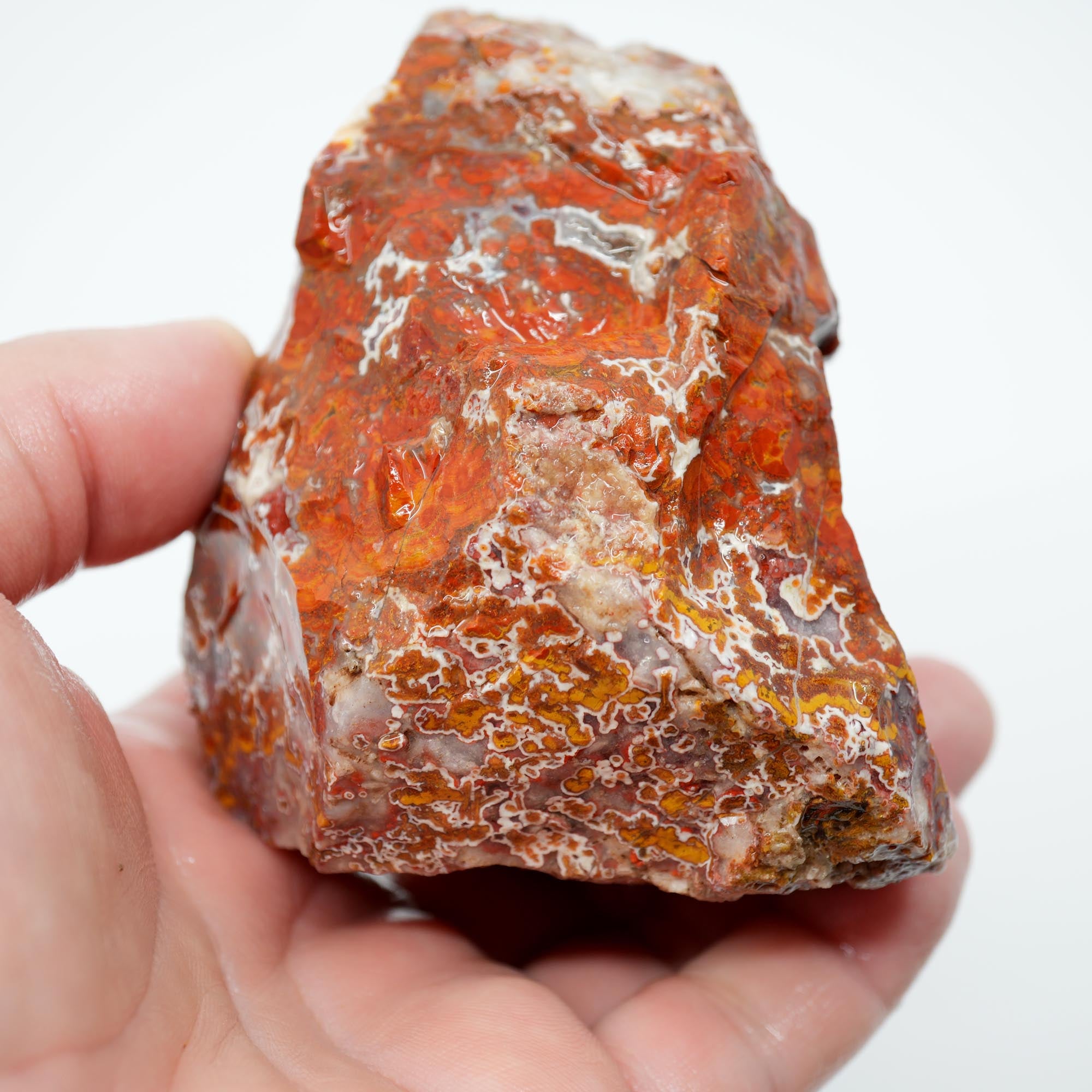 Apple Valley Agate Rough - Christmas Red Tube Pseudomorph