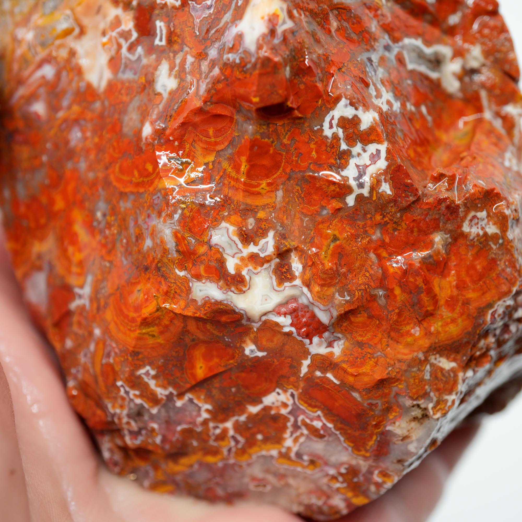 Apple Valley Agate Rough - Christmas Red Tube Pseudomorph