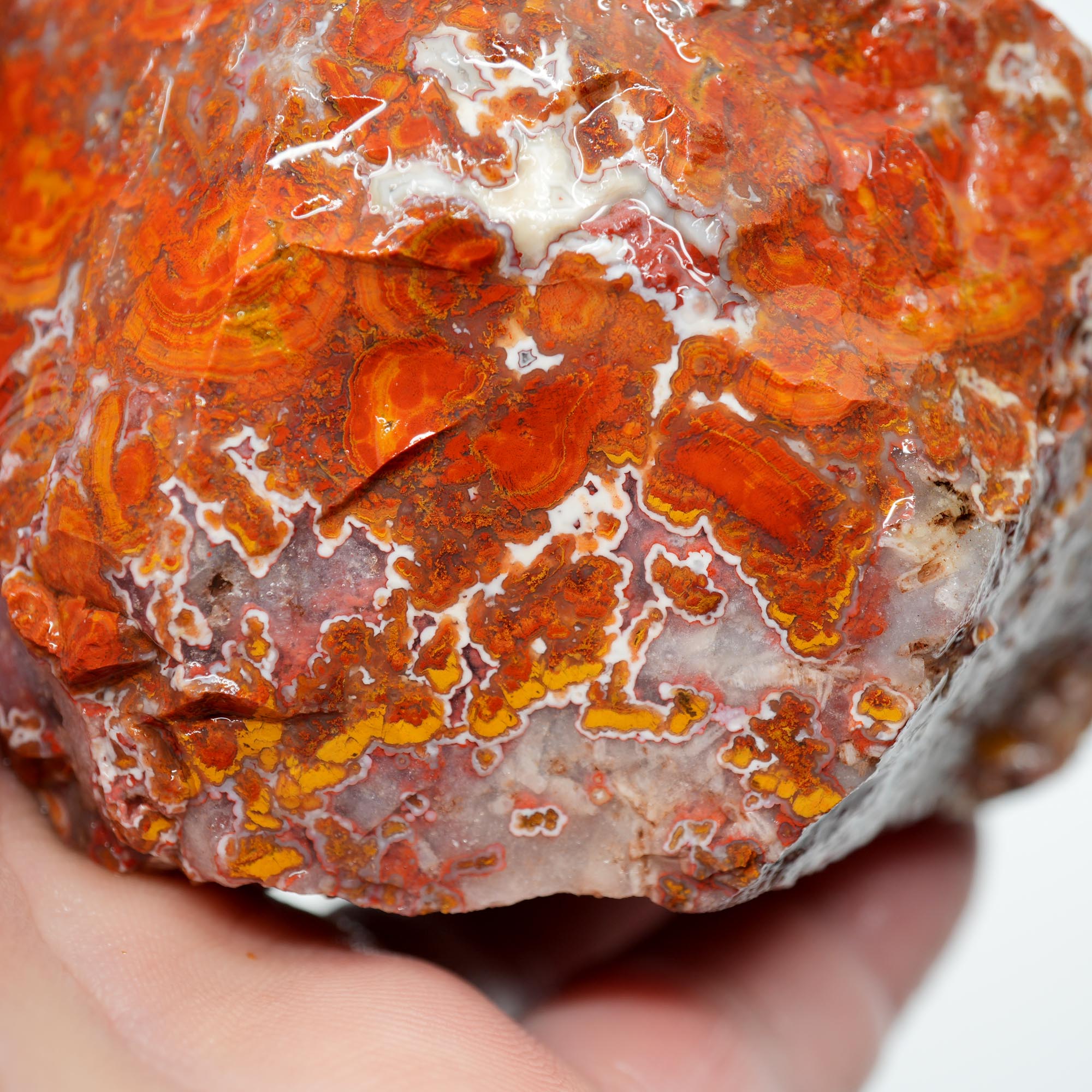 Apple Valley Agate Rough - Christmas Red Tube Pseudomorph