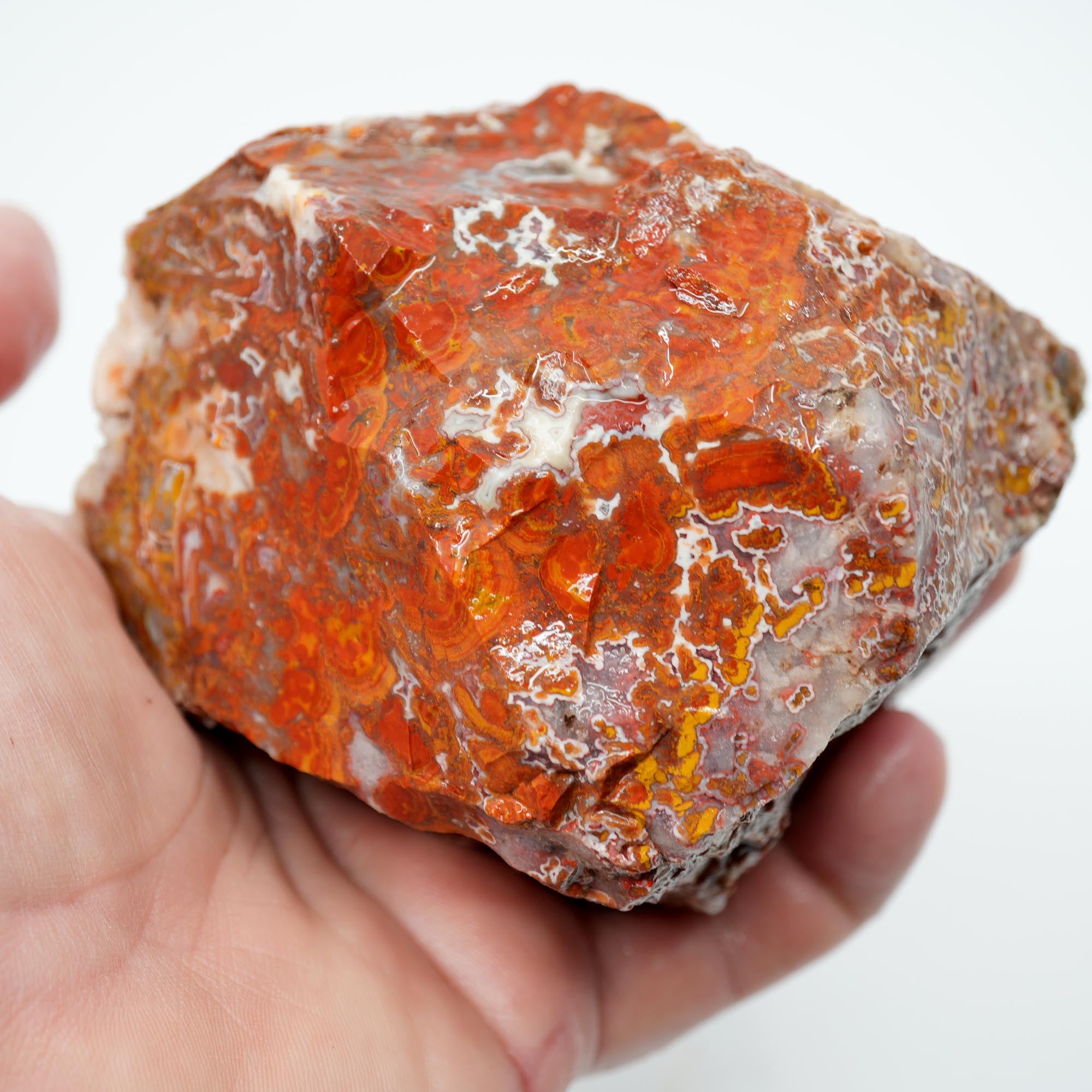 Apple Valley Agate Rough - Christmas Red Tube Pseudomorph