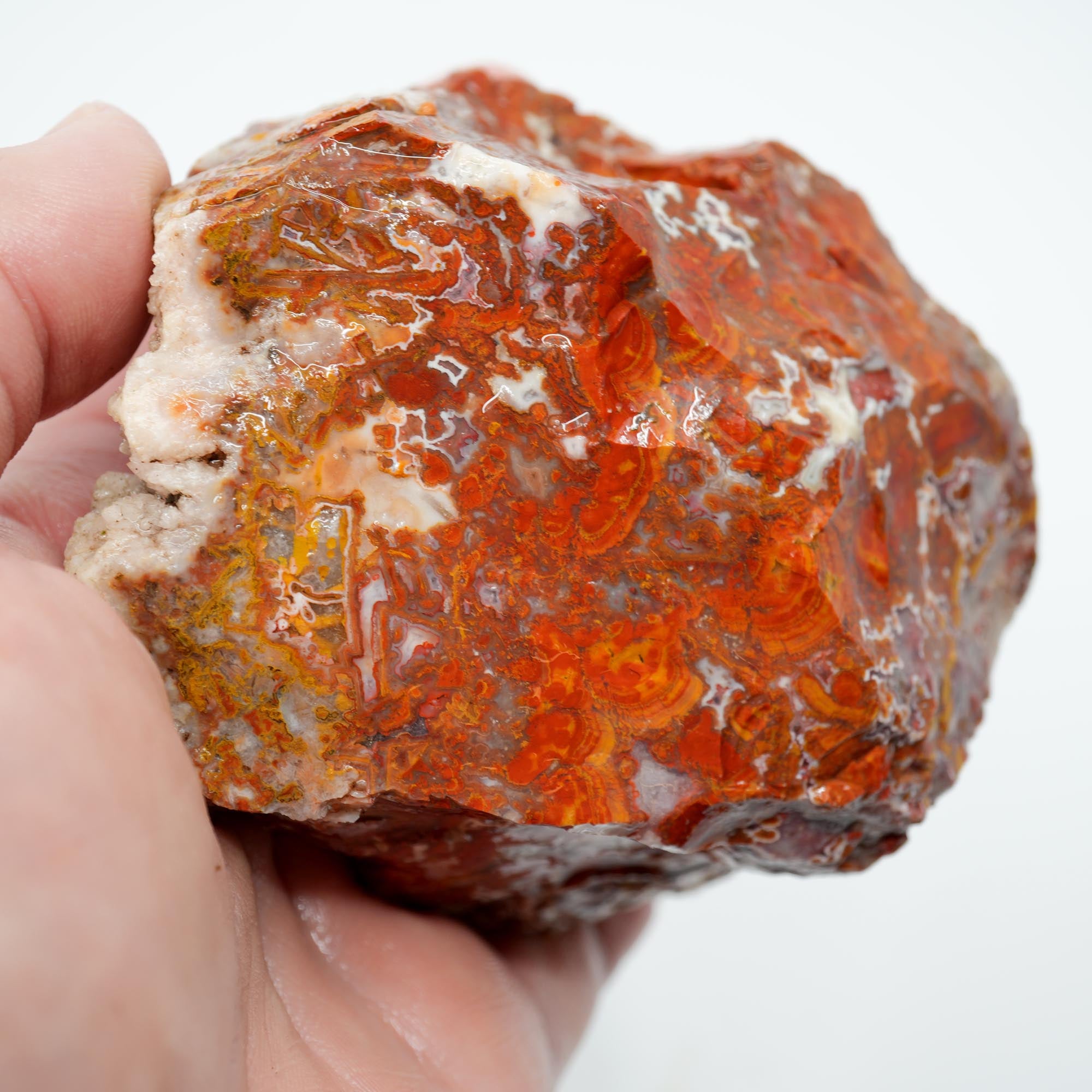 Apple Valley Agate Rough - Christmas Red Tube Pseudomorph