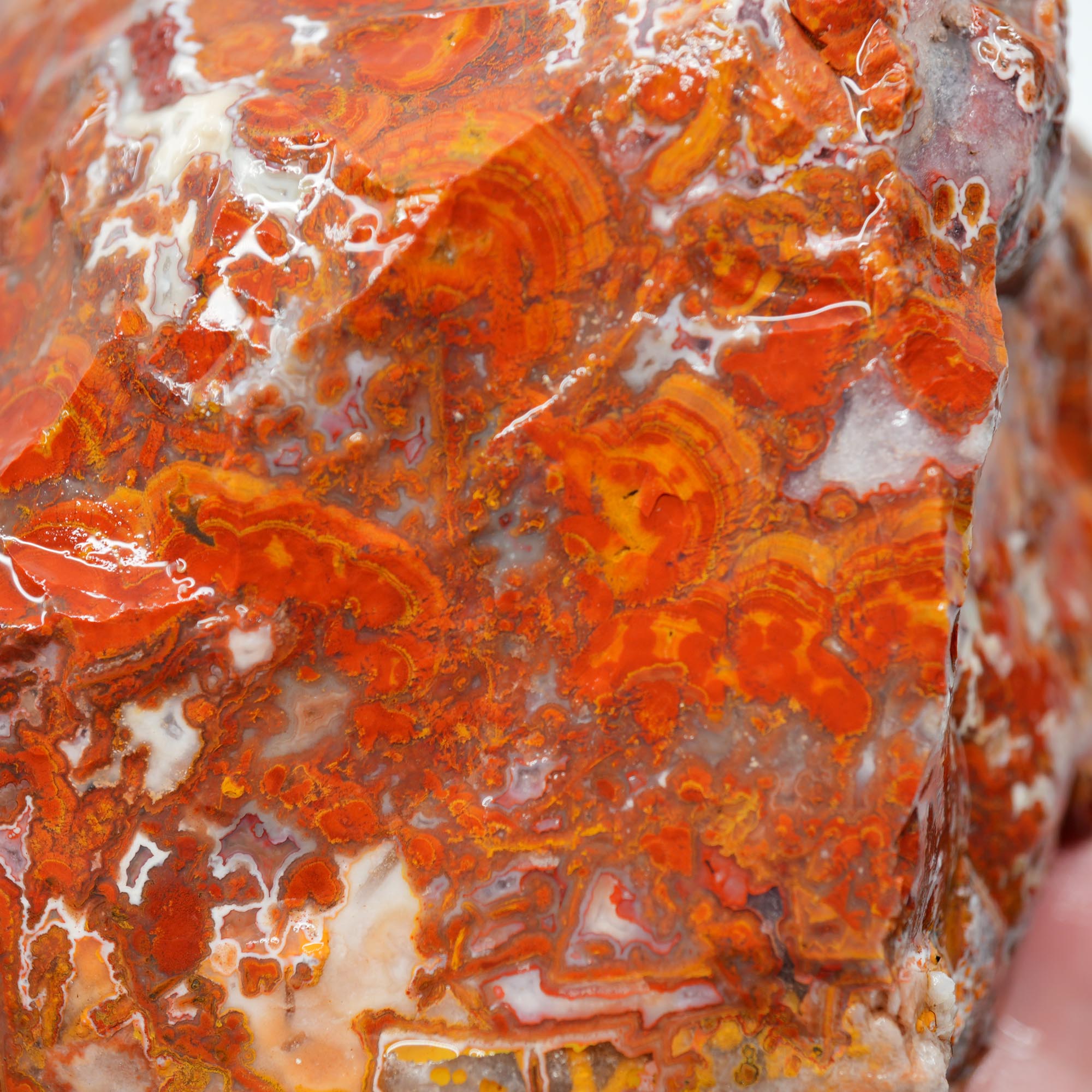 Apple Valley Agate Rough - Christmas Red Tube Pseudomorph