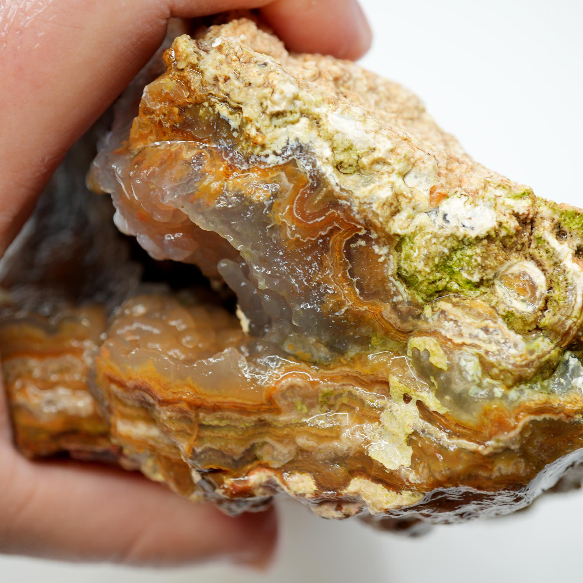 Lysite Agate Rough - Wavy Lace Gem Blue Botryoidal High Grade