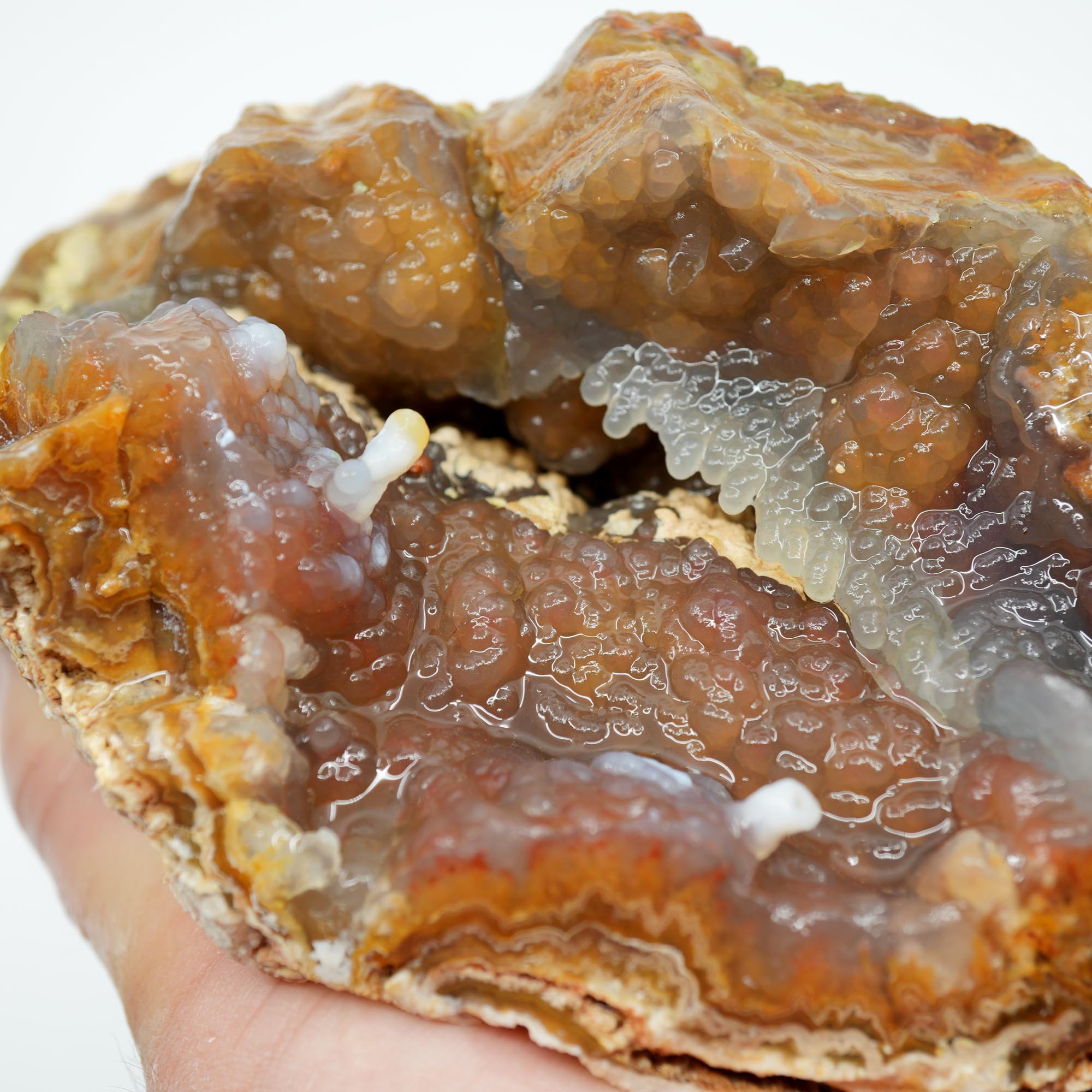 Lysite Agate Rough - Wavy Lace Gem Blue Botryoidal High Grade