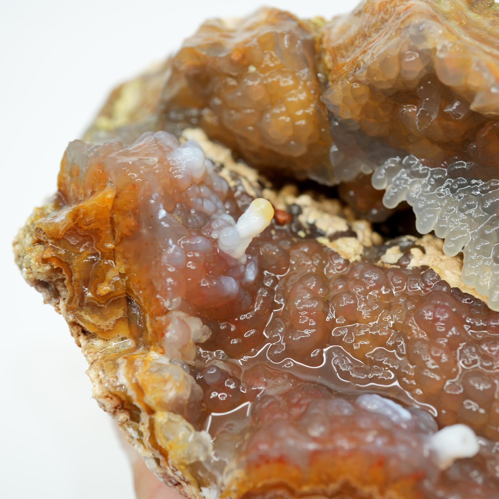 Lysite Agate Rough - Wavy Lace Gem Blue Botryoidal High Grade