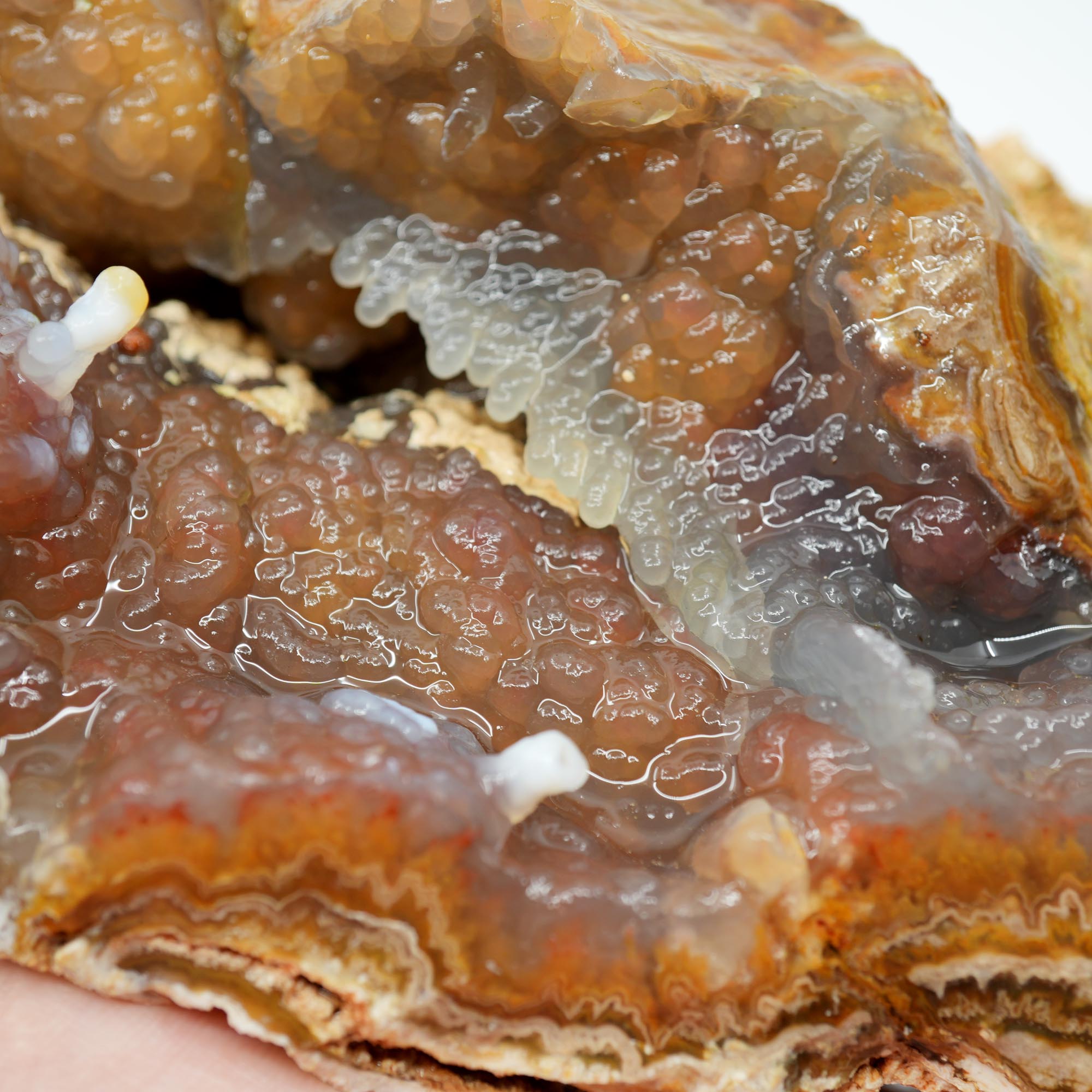Lysite Agate Rough - Wavy Lace Gem Blue Botryoidal High Grade
