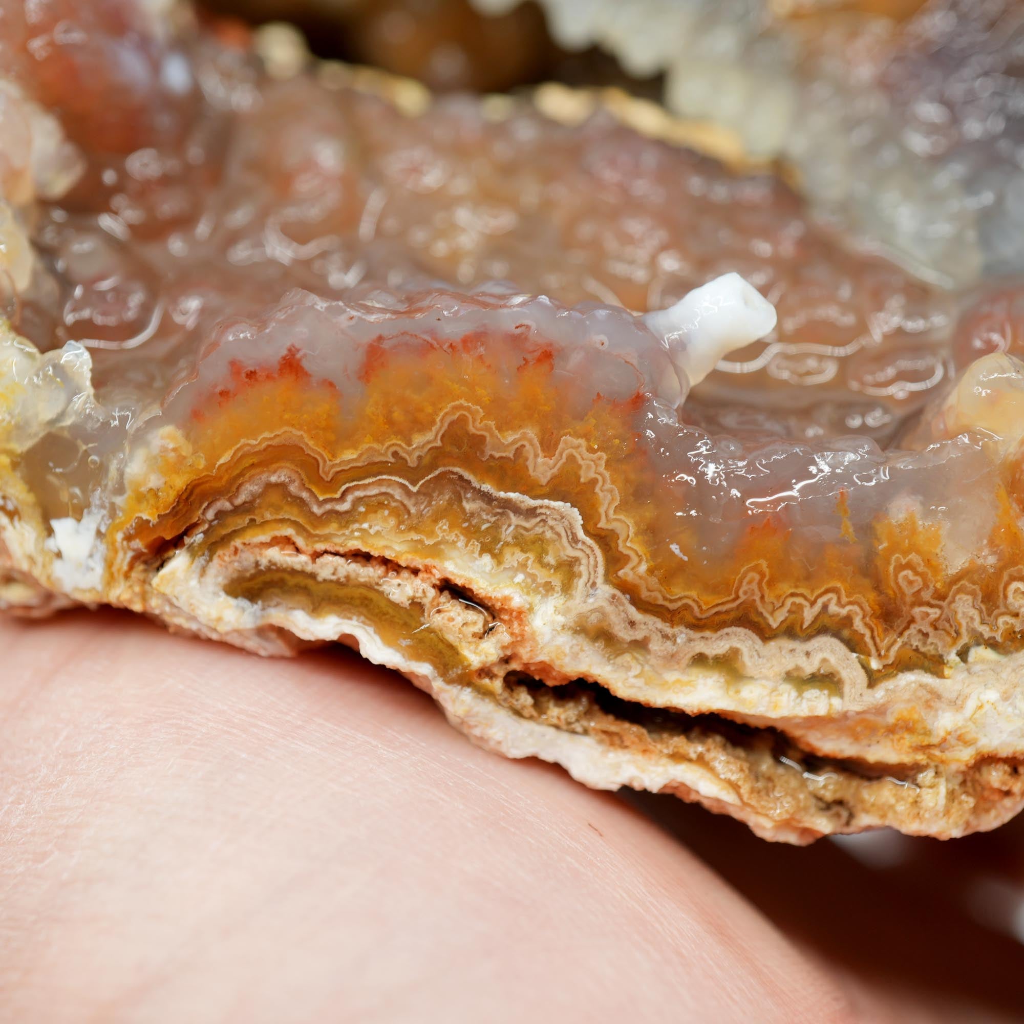 Lysite Agate Rough - Wavy Lace Gem Blue Botryoidal High Grade
