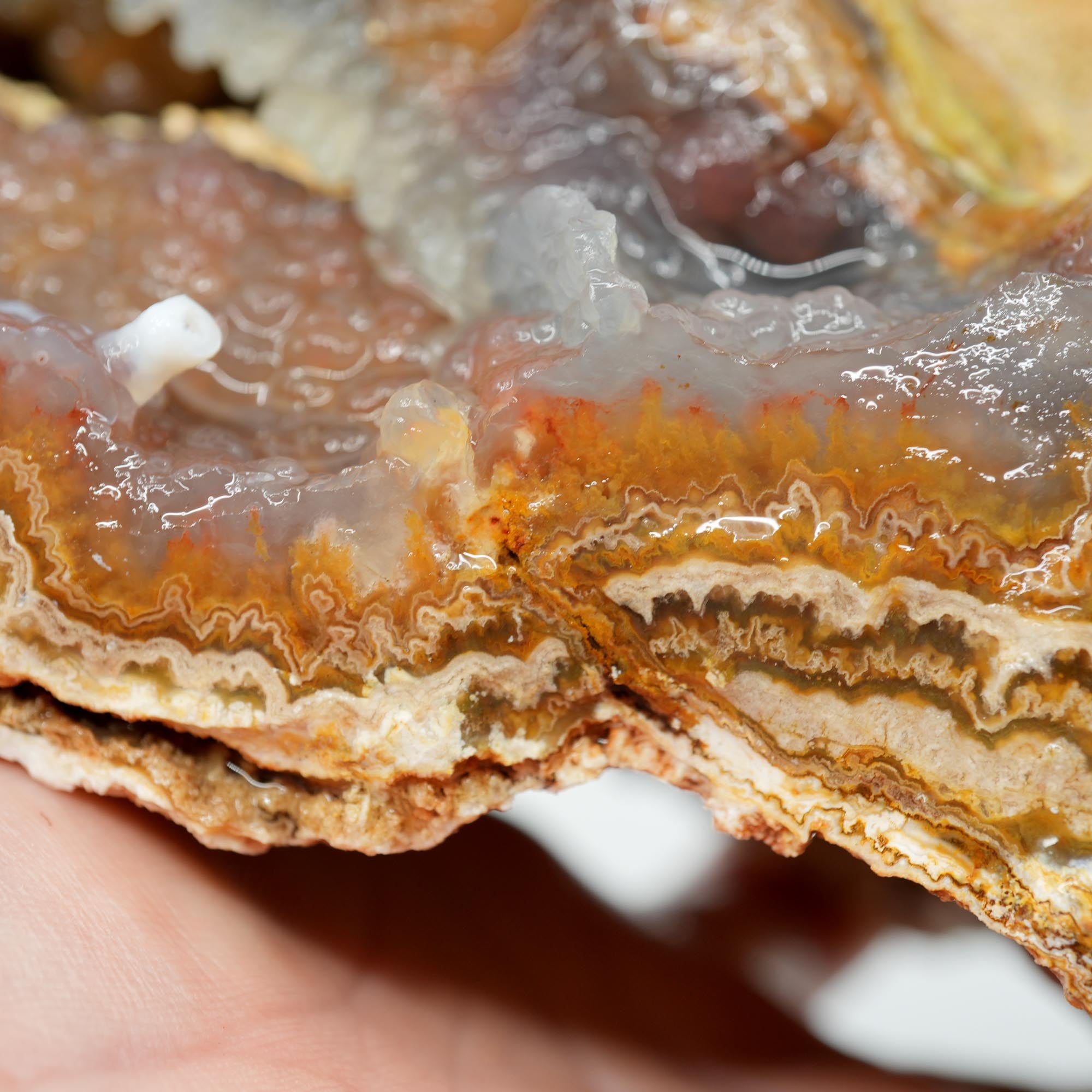 Lysite Agate Rough - Wavy Lace Gem Blue Botryoidal High Grade
