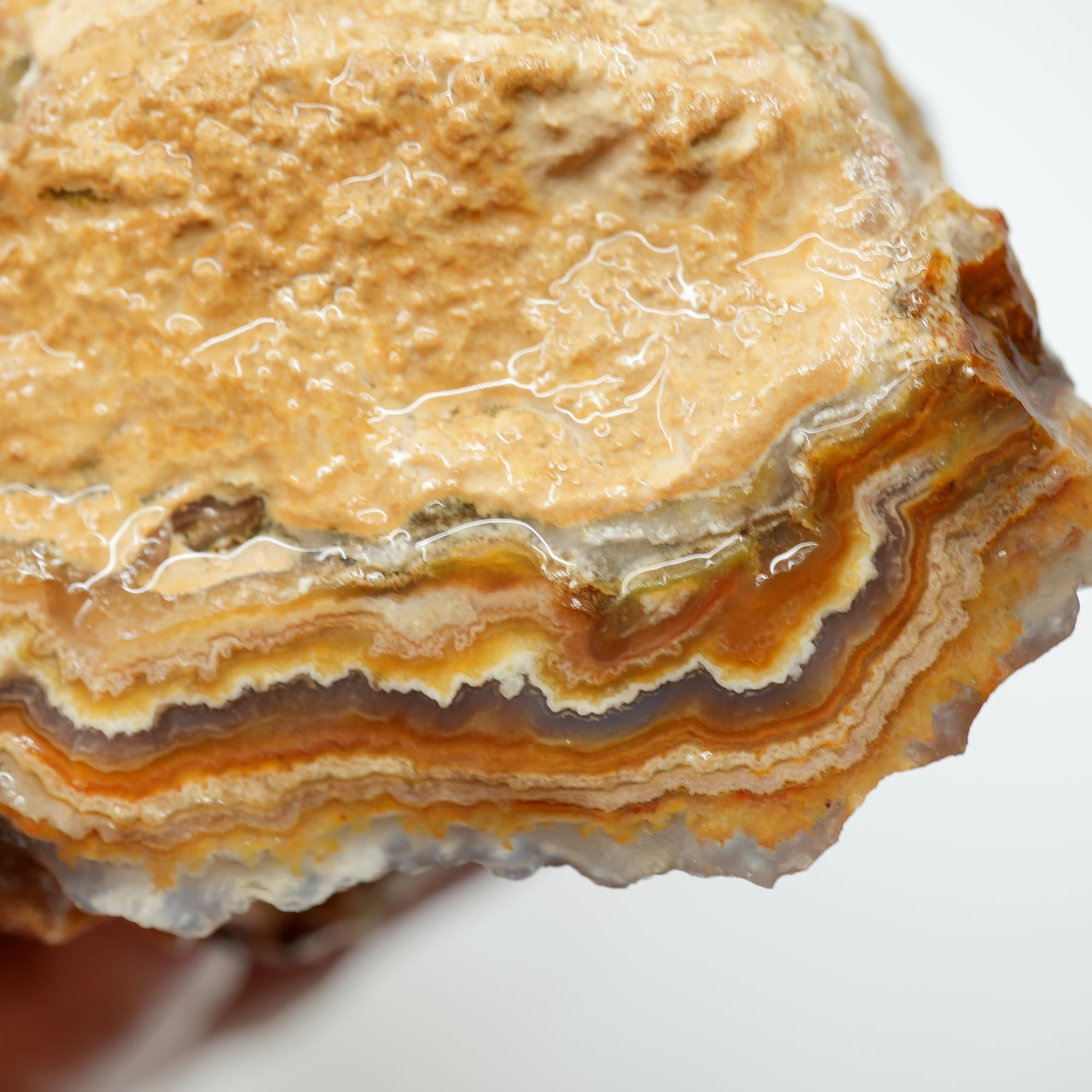 Lysite Agate Rough - Wavy Lace Gem Blue Botryoidal High Grade