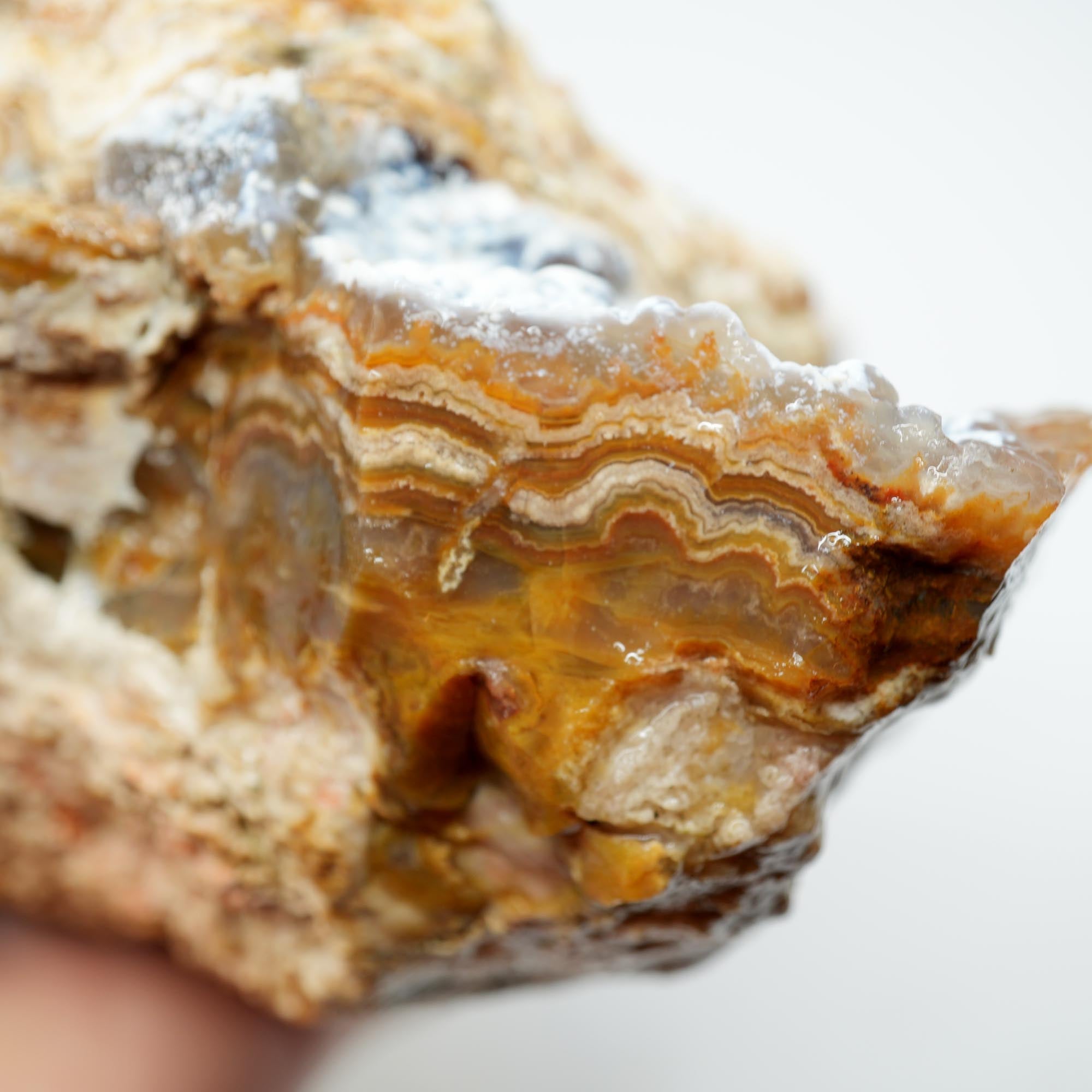 Lysite Agate Rough - Wavy Lace Gem Blue Botryoidal High Grade