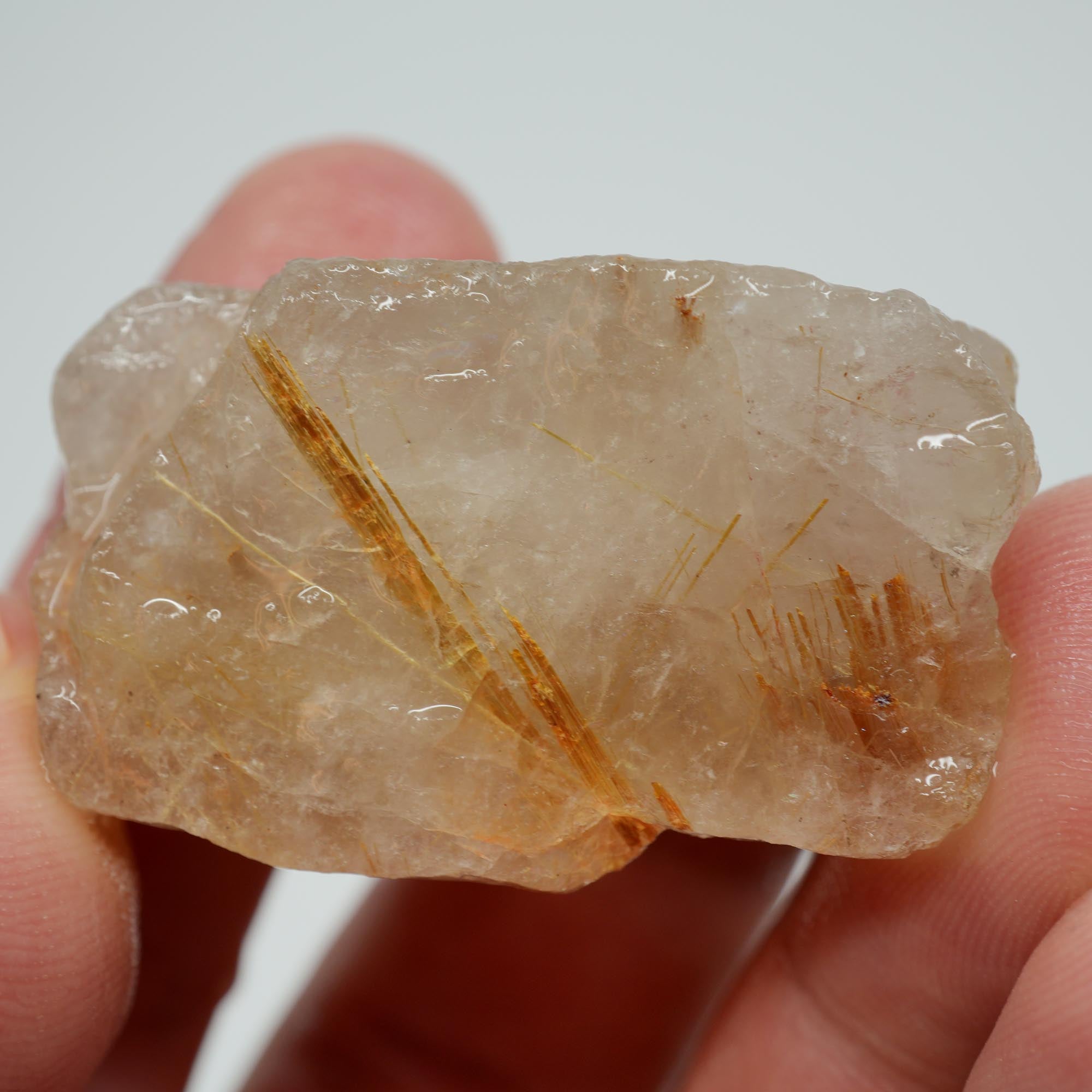 Rutilated Quartz - Golden Rutile Needles - Brazilian Crystal Specimen