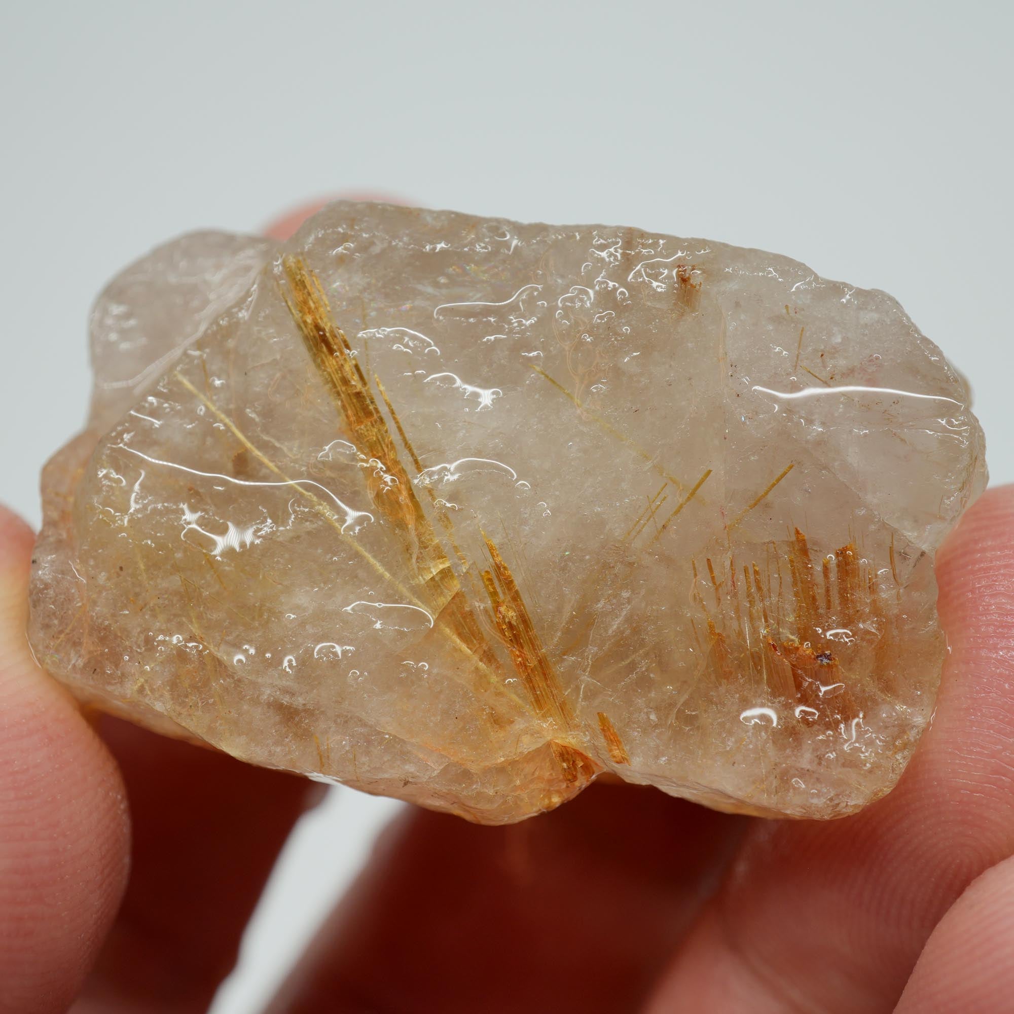 Rutilated Quartz - Golden Rutile Needles - Brazilian Crystal Specimen