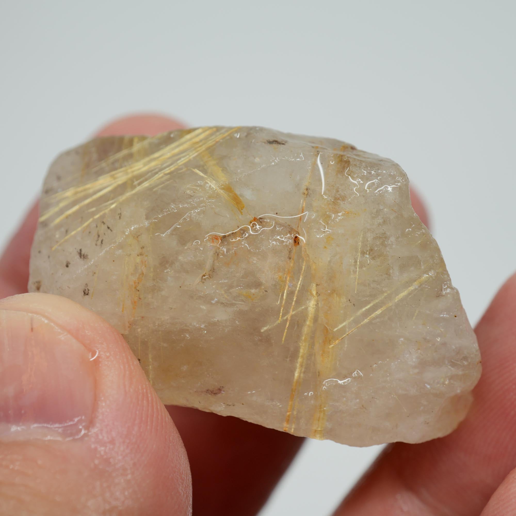 Rutilated Quartz - Golden Rutile Needles - Brazilian Crystal Specimen