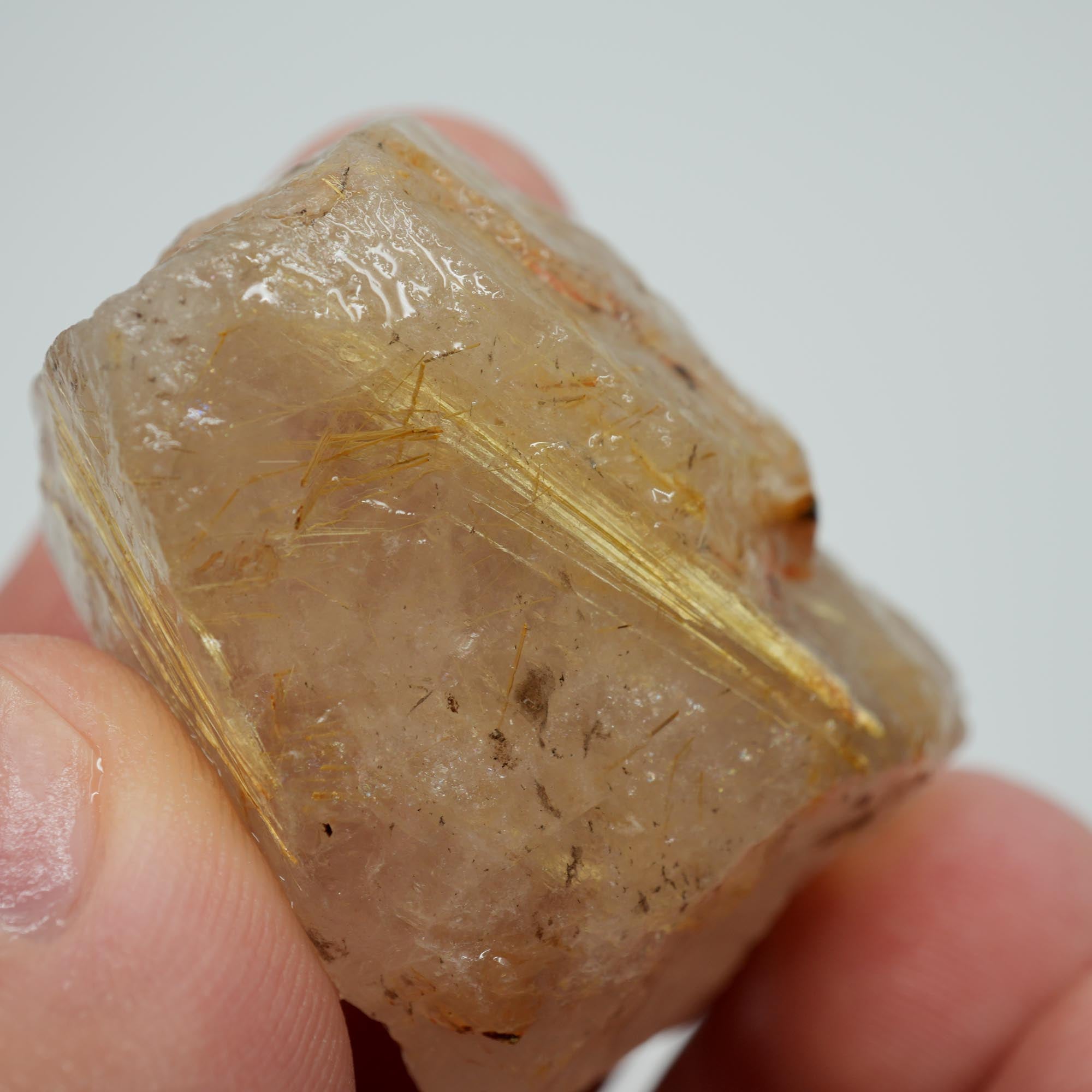 Rutilated Quartz - Golden Rutile Needles - Brazilian Crystal Specimen