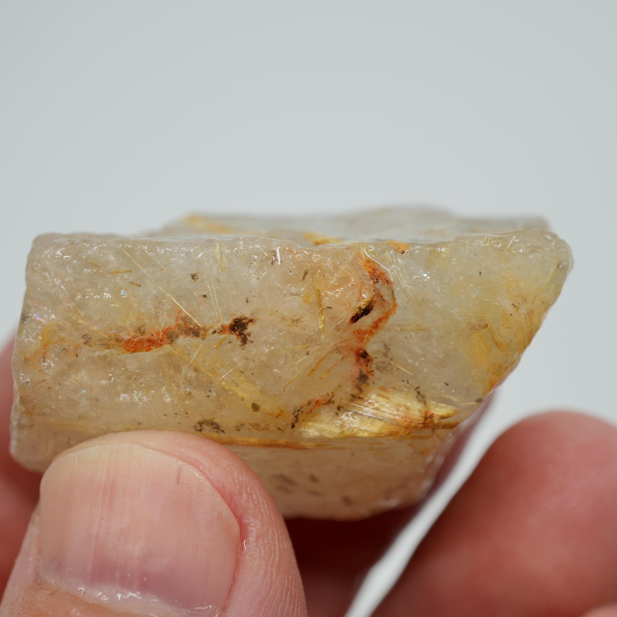 Rutilated Quartz - Golden Rutile Needles - Brazilian Crystal Specimen