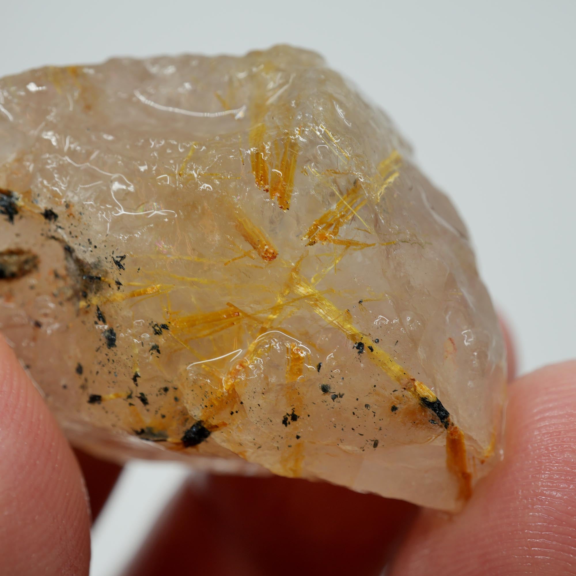 Rutilated Quartz - Angel's Hair Quartz - Brazil Crystal Specimen