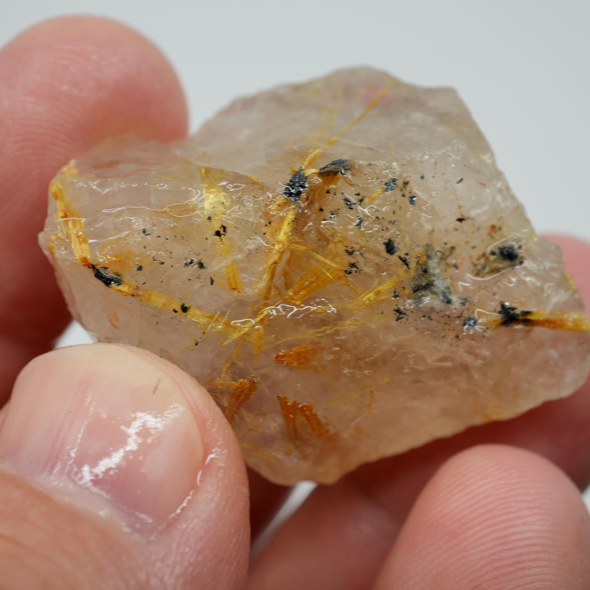 Rutilated Quartz - Angel's Hair Quartz - Brazil Crystal Specimen