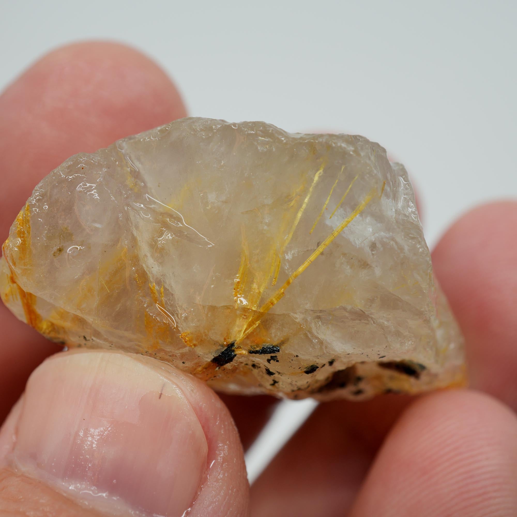Rutilated Quartz - Angel's Hair Quartz - Brazil Crystal Specimen