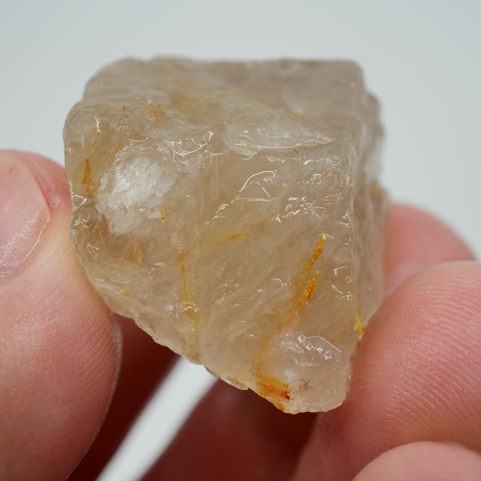 Rutilated Quartz - Angel's Hair Quartz - Brazil Crystal Specimen