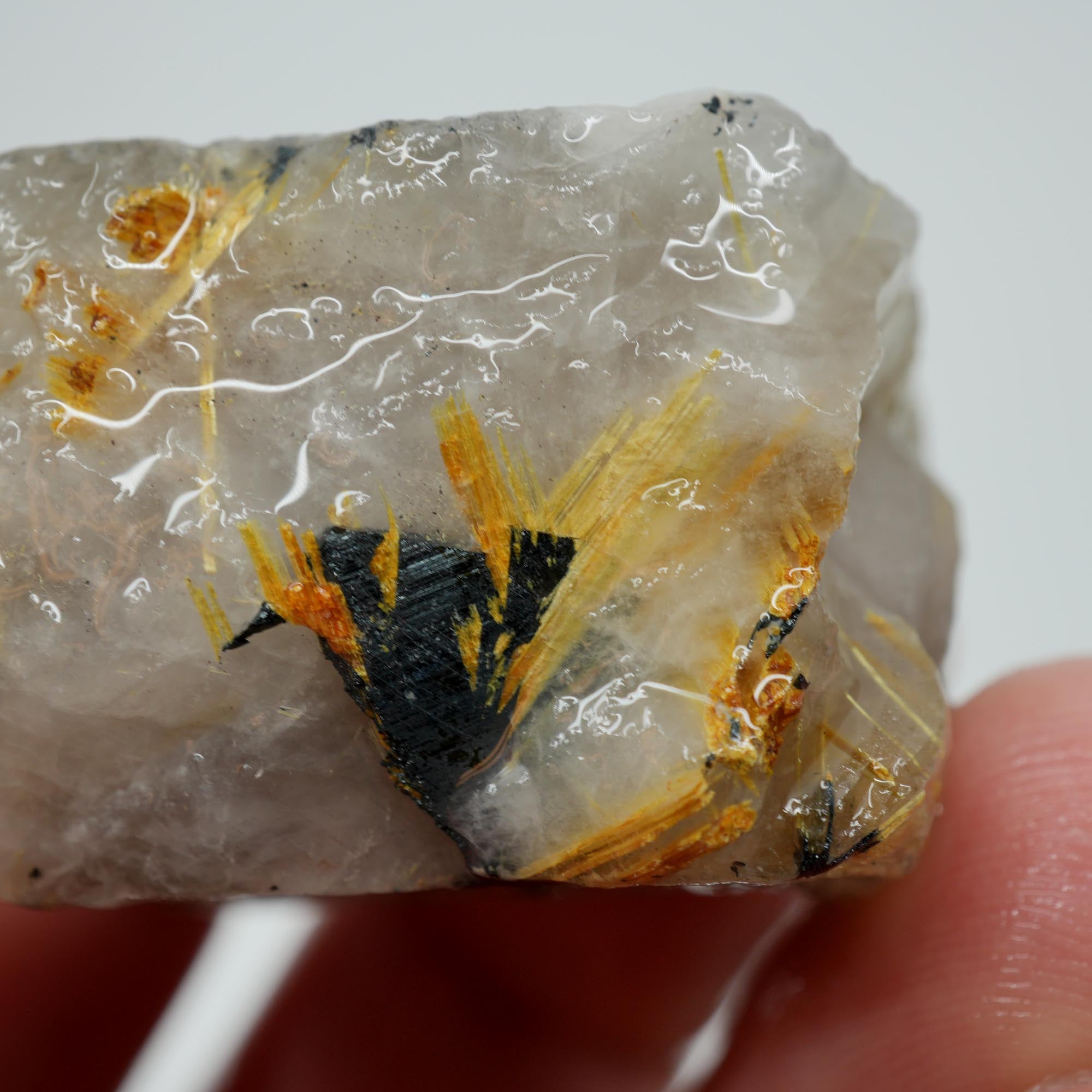 Rutilated Quartz - Golden Needles in Quartz - Brazil Specimen