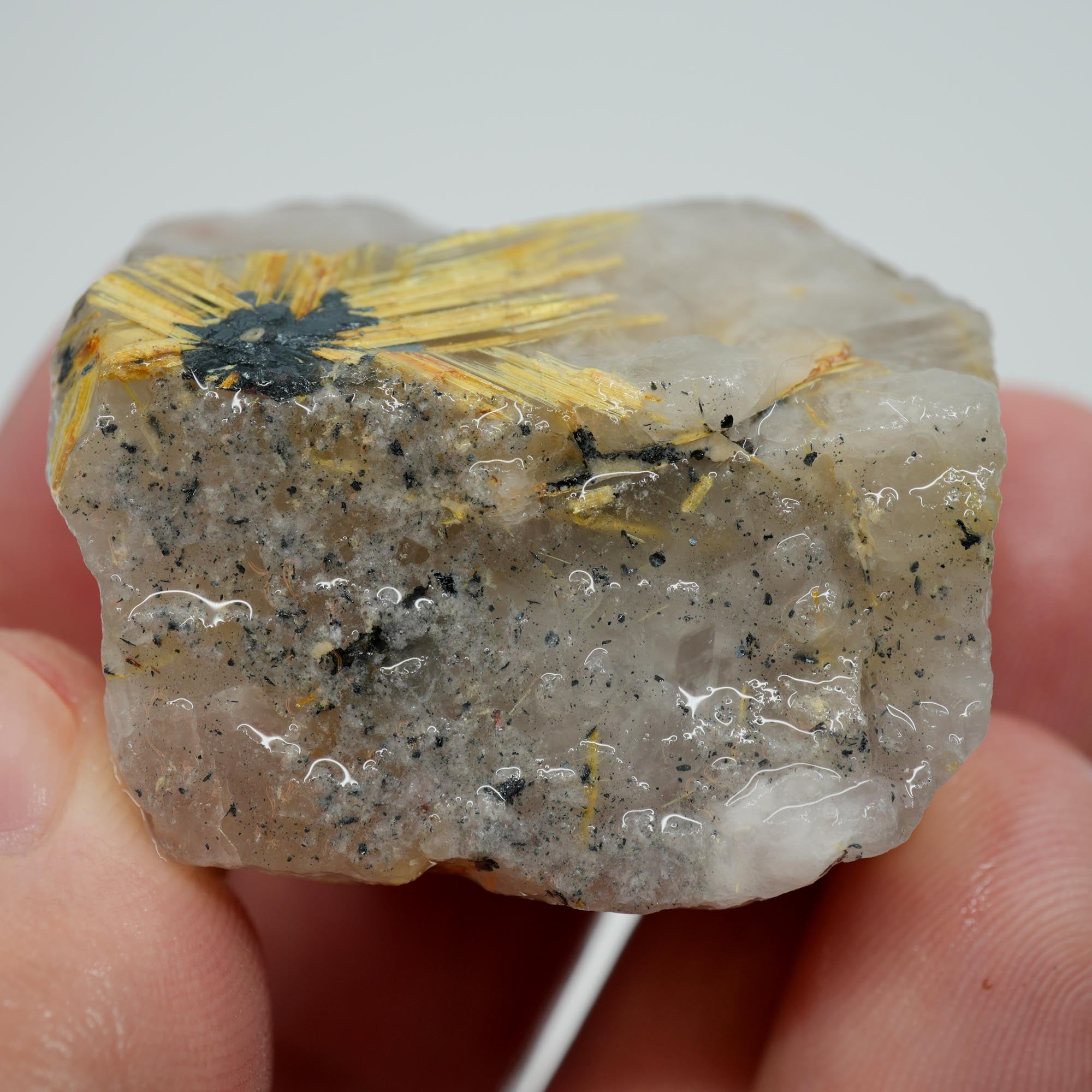 Rutilated Quartz - Golden Needles in Quartz - Brazil Specimen