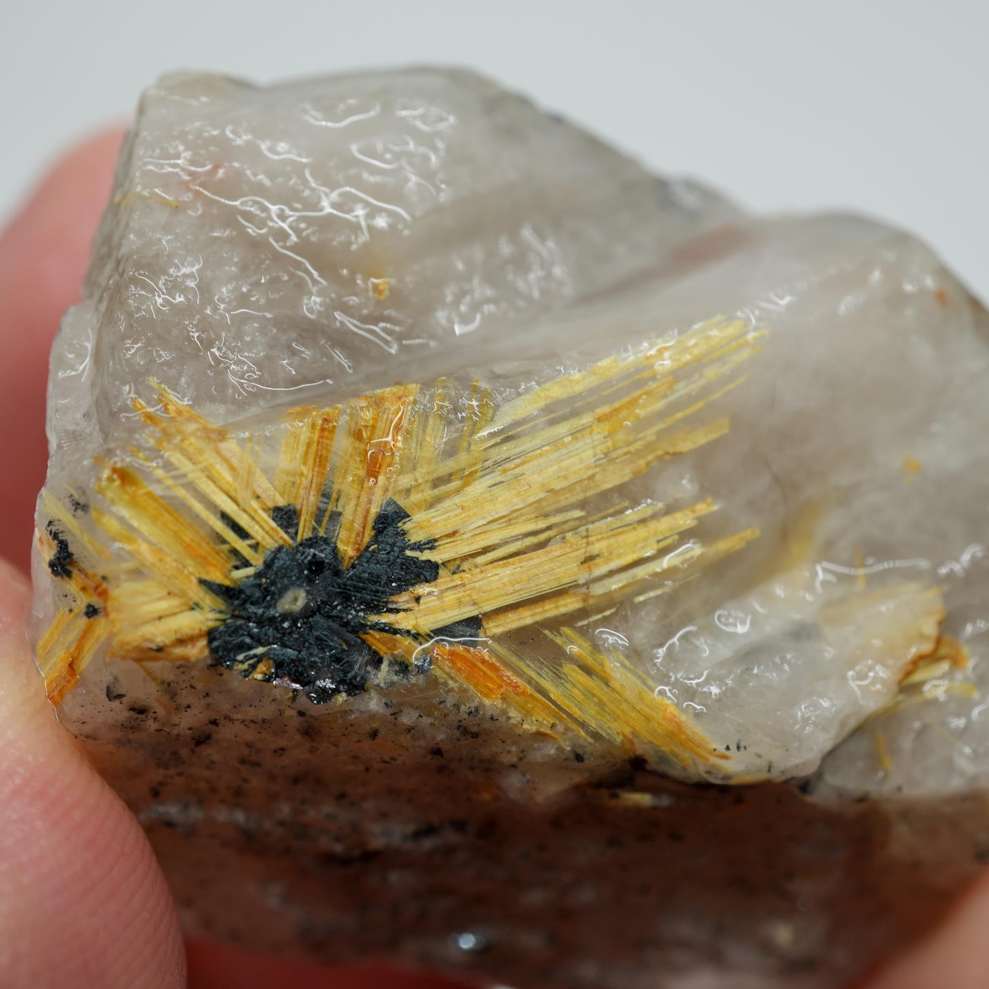 Rutilated Quartz - Golden Needles in Quartz - Brazil Specimen