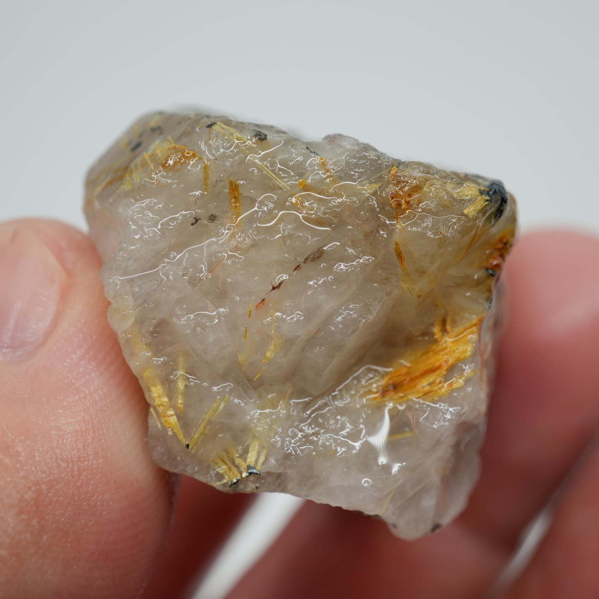 Rutilated Quartz - Golden Needles in Quartz - Brazil Specimen