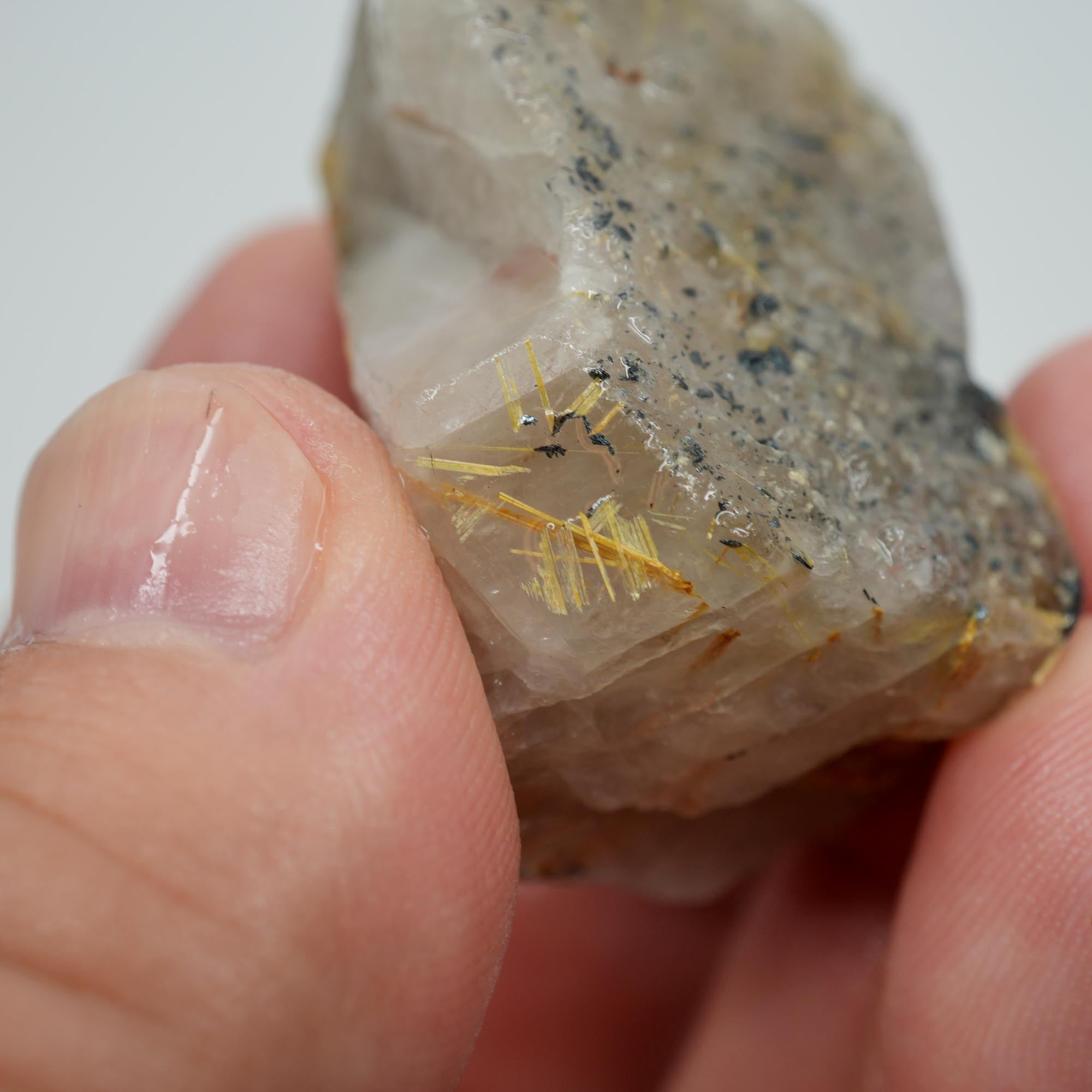 Rutilated Quartz - Golden Needles in Quartz - Brazil Specimen