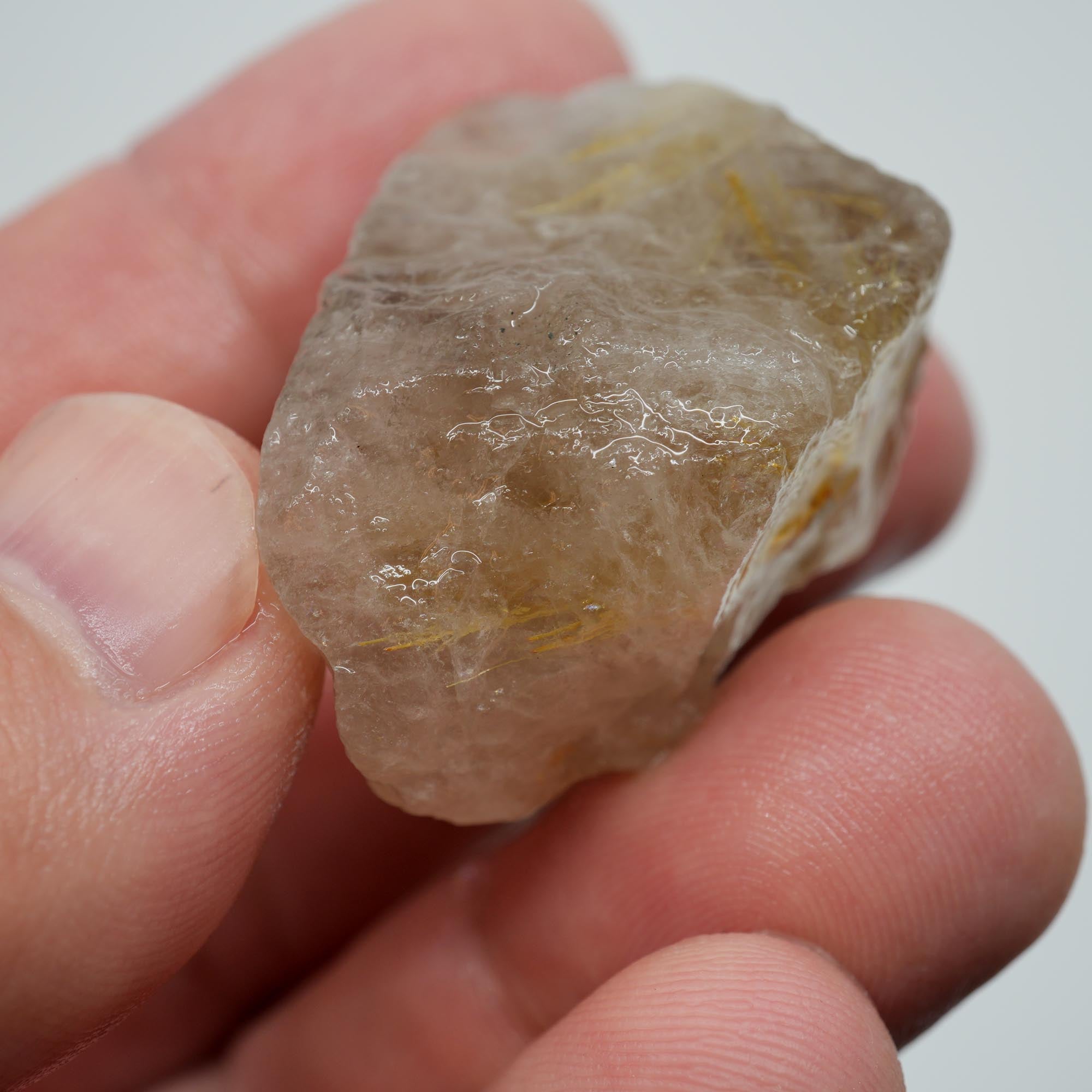 Rutilated Quartz - Golden Flash Rutile - Brazil Crystal Specimen