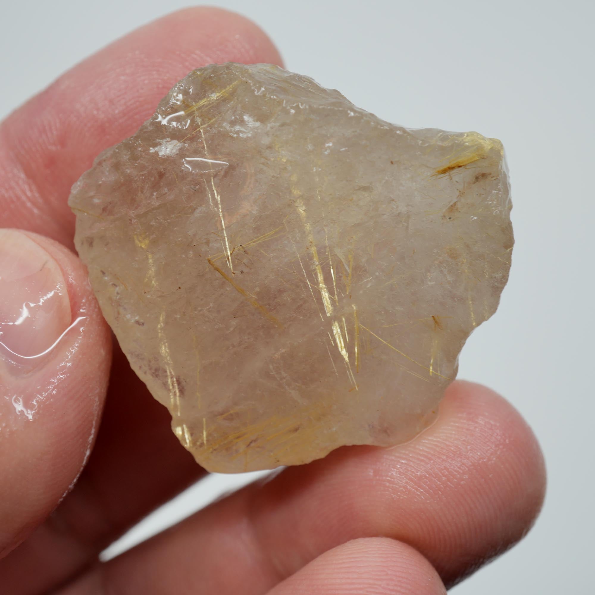 Rutilated Quartz - Golden Angel Hair Quartz - Brazil Specimen