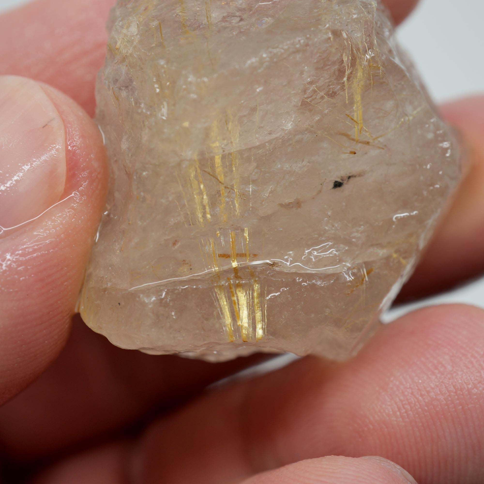 Rutilated Quartz - Golden Angel Hair Quartz - Brazil Specimen