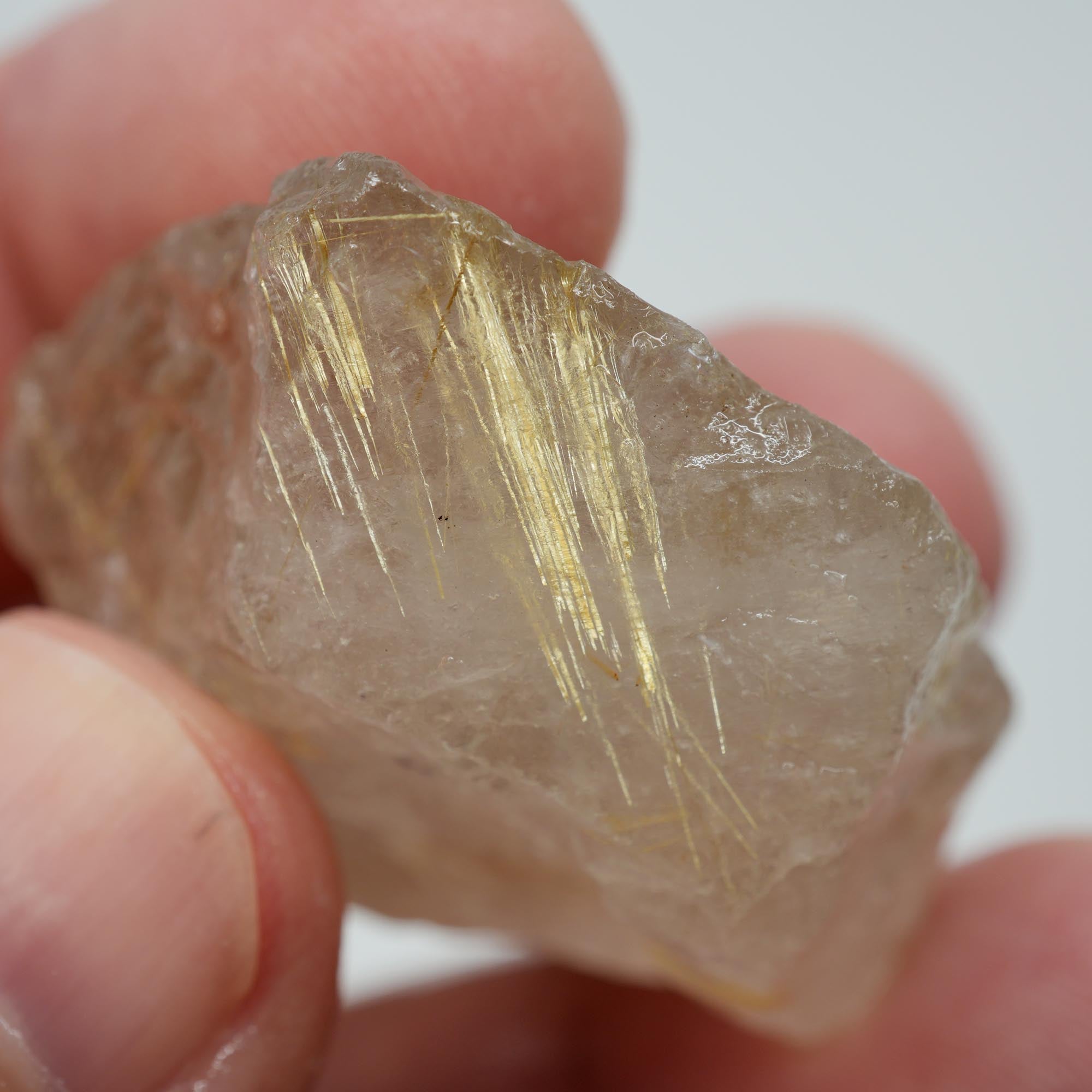 Rutilated Quartz - Golden Angel Hair Quartz - Brazil Specimen