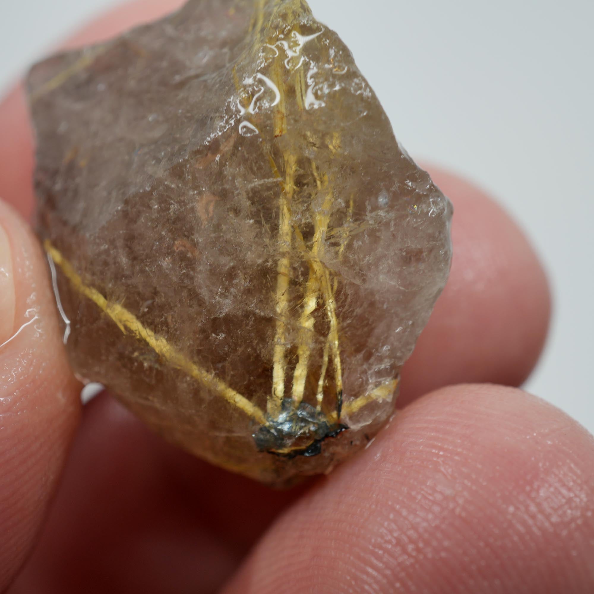 Rutilated Quartz - Golden Threaded Quartz - Brazil Crystal Specimen