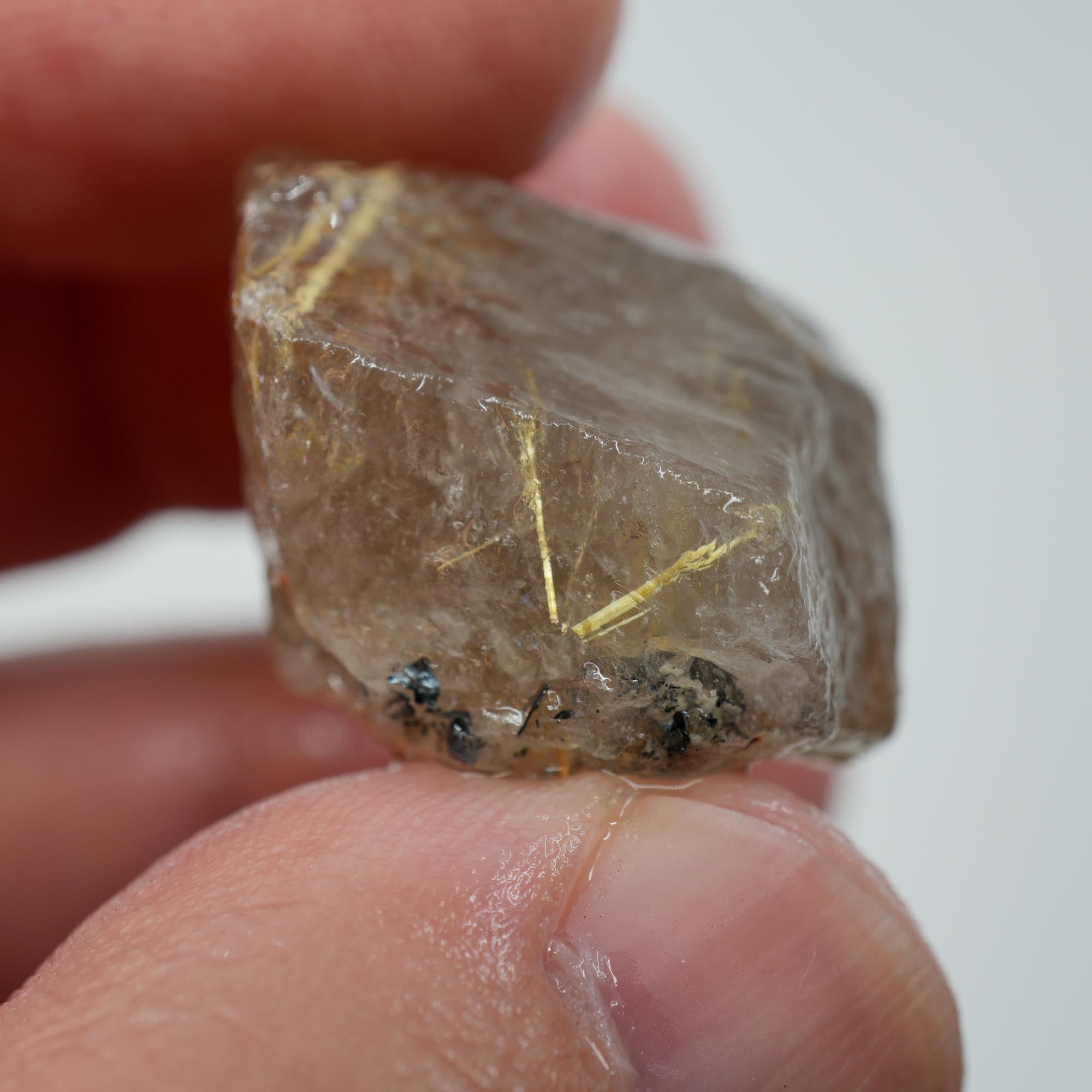 Rutilated Quartz - Golden Threaded Quartz - Brazil Crystal Specimen