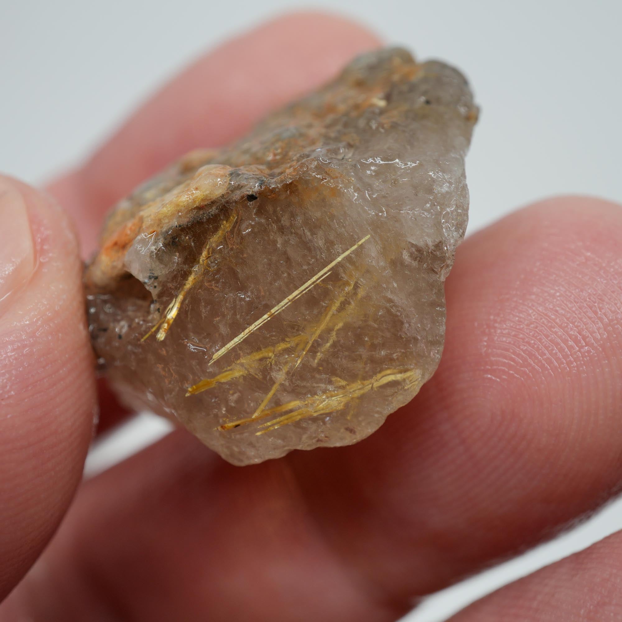 Rutilated Quartz - Golden Threaded Quartz - Brazil Crystal Specimen