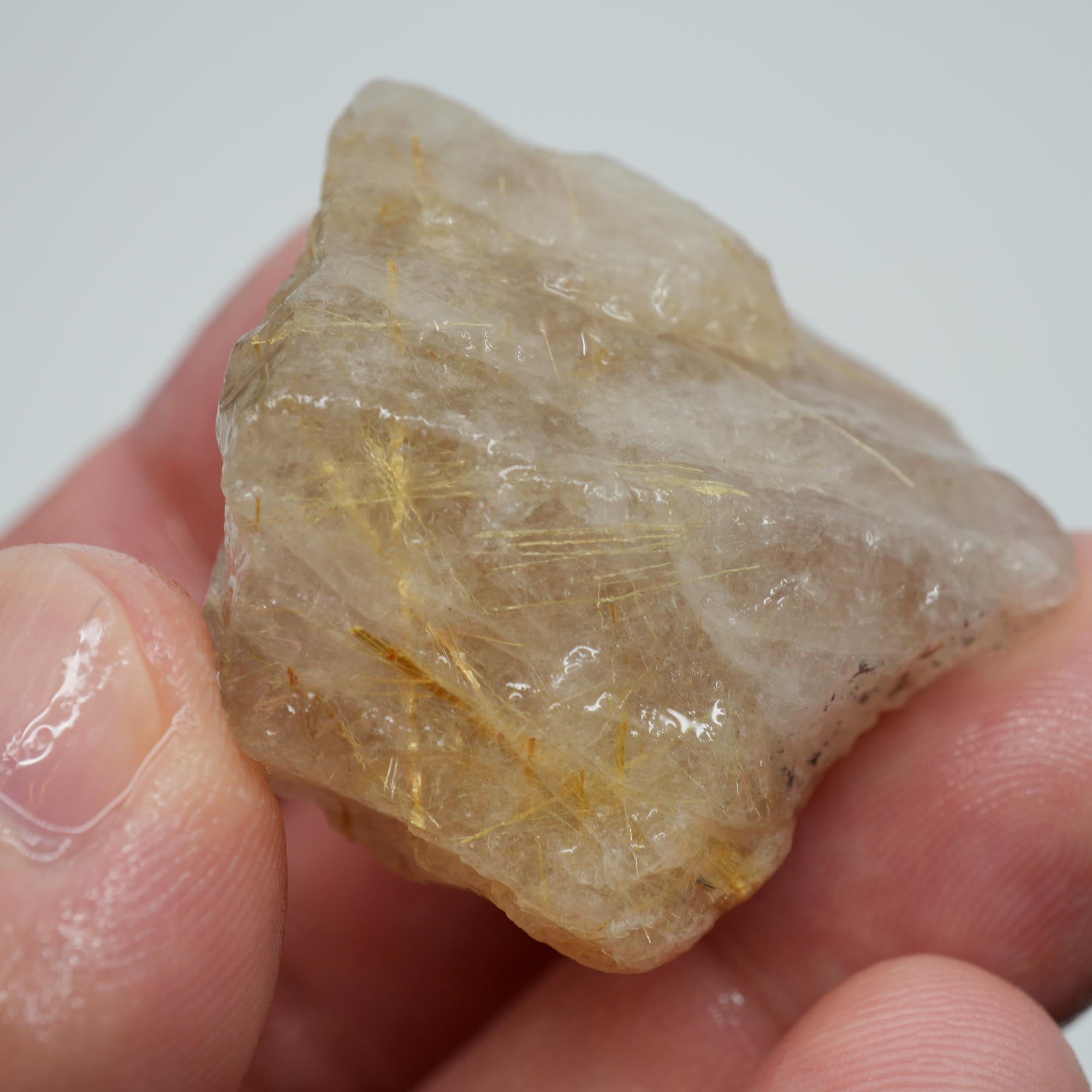 Rutilated Quartz - Golden Rutile in Clear Quartz - Brazil Specimen