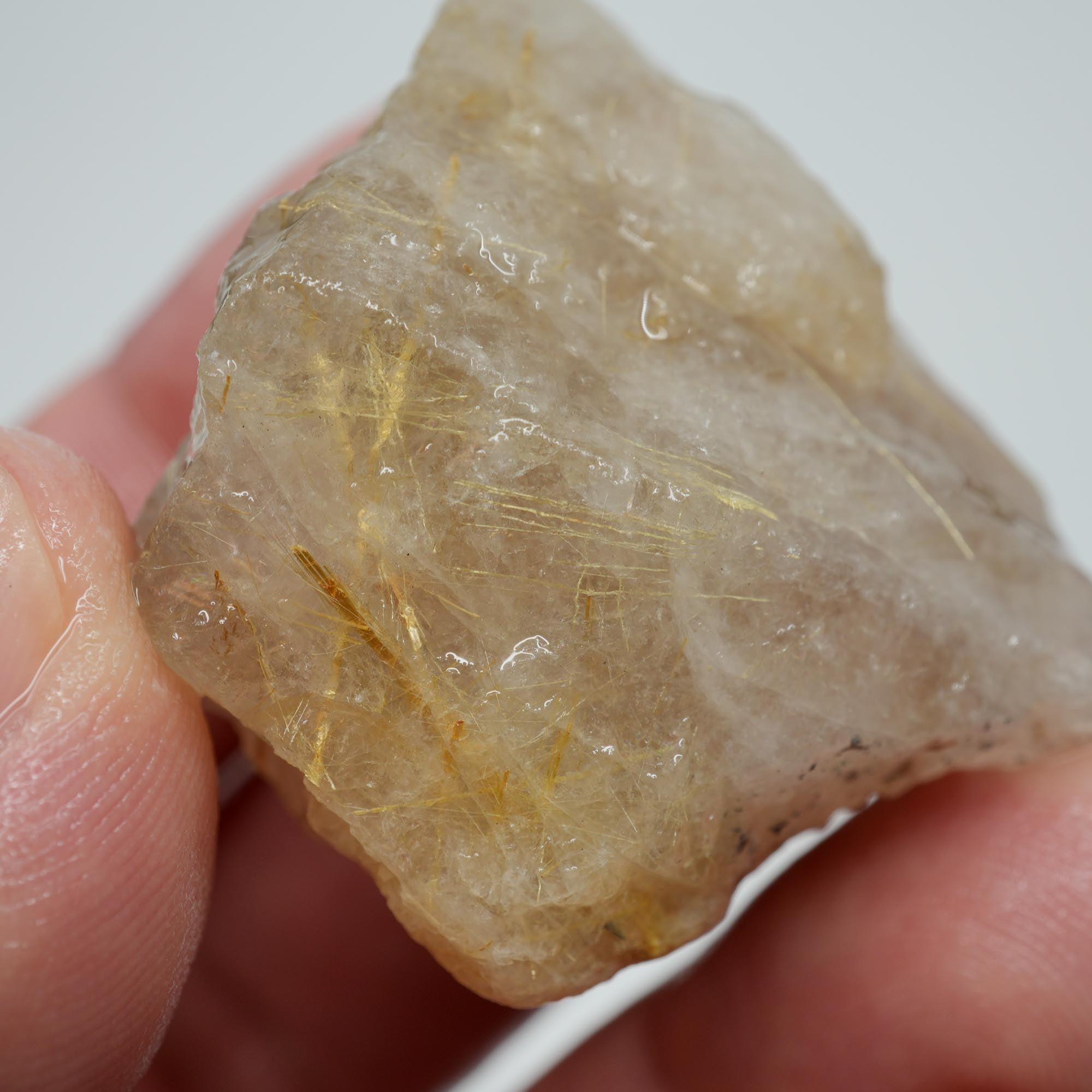 Rutilated Quartz - Golden Rutile in Clear Quartz - Brazil Specimen