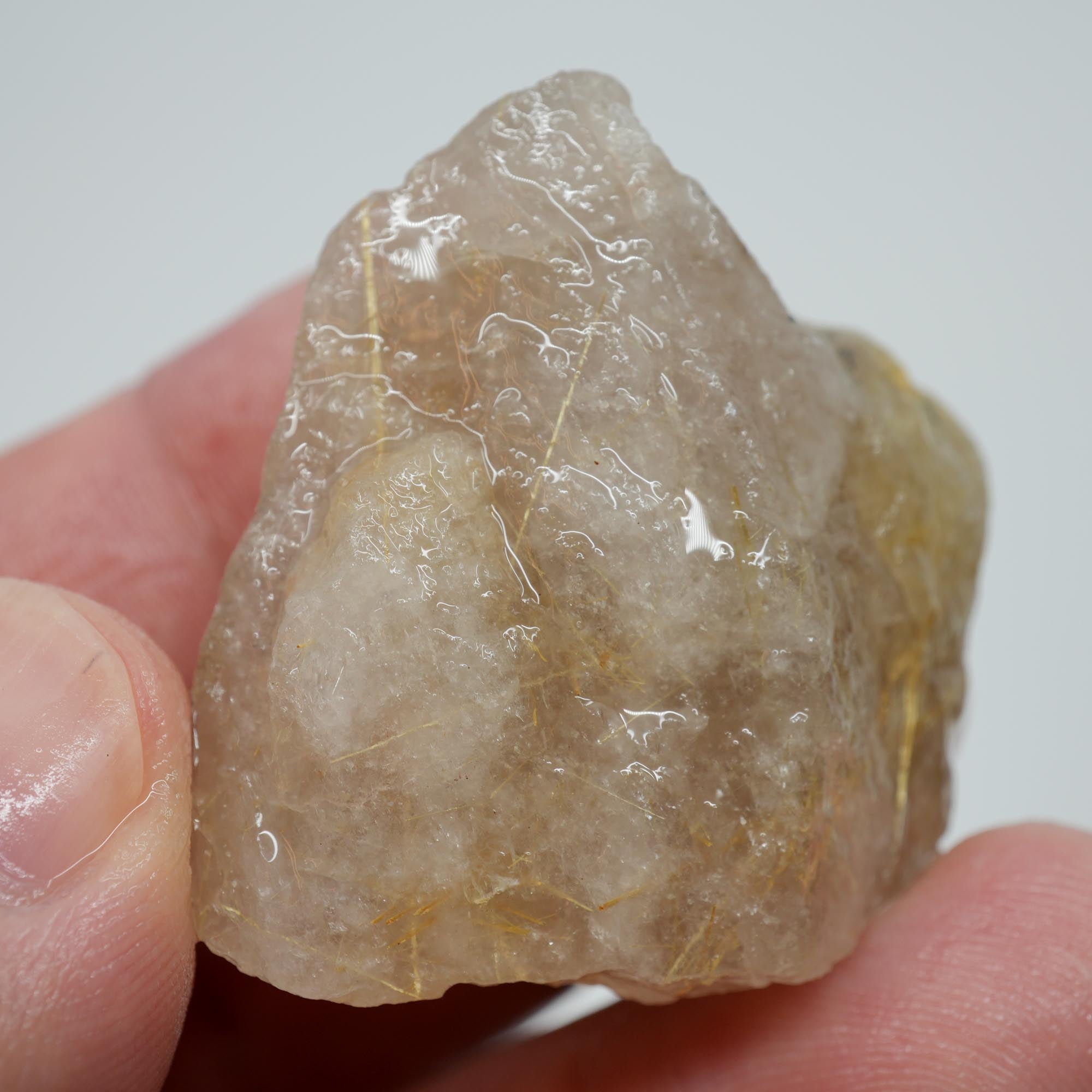Rutilated Quartz - Golden Rutile in Clear Quartz - Brazil Specimen