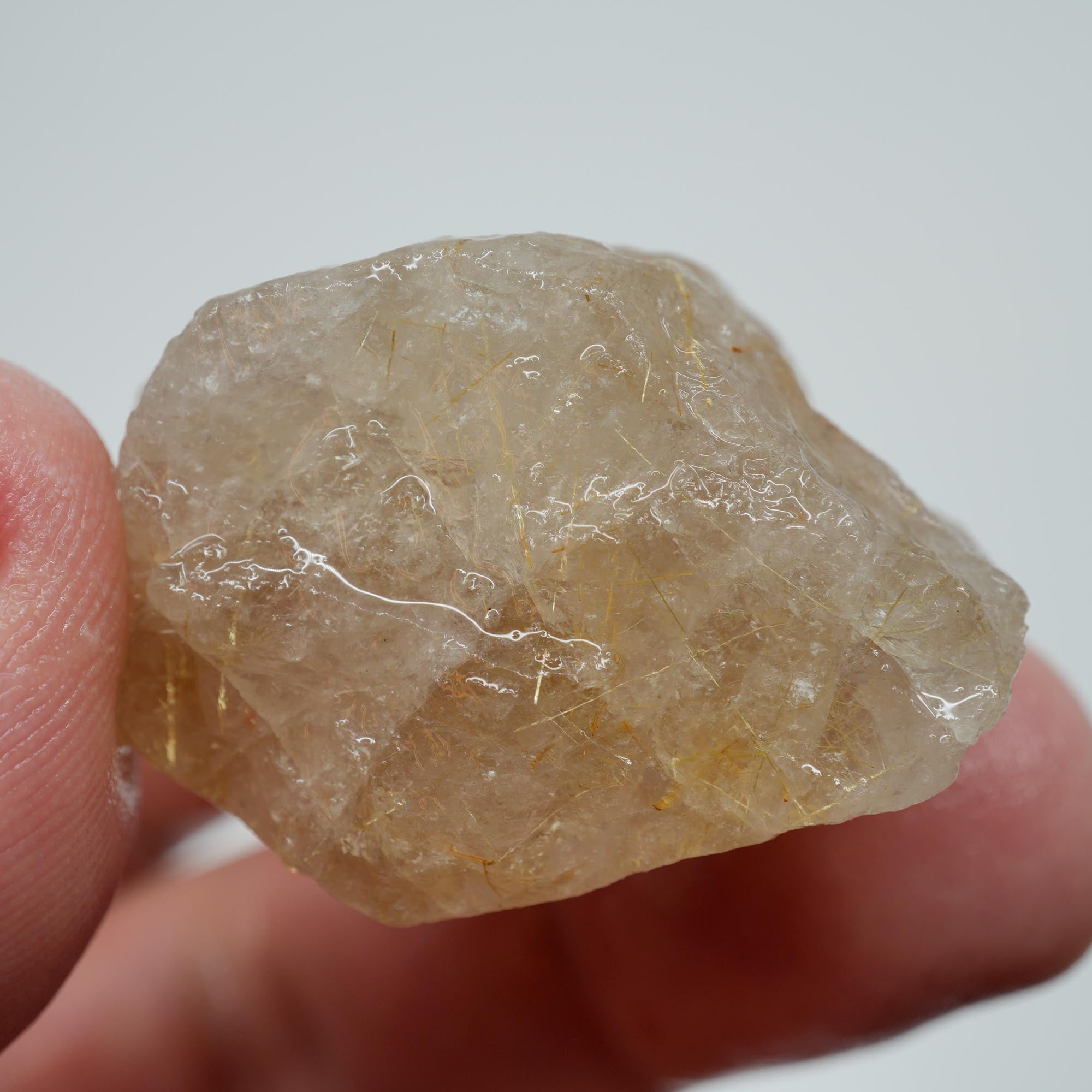 Rutilated Quartz - Golden Rutile in Clear Quartz - Brazil Specimen