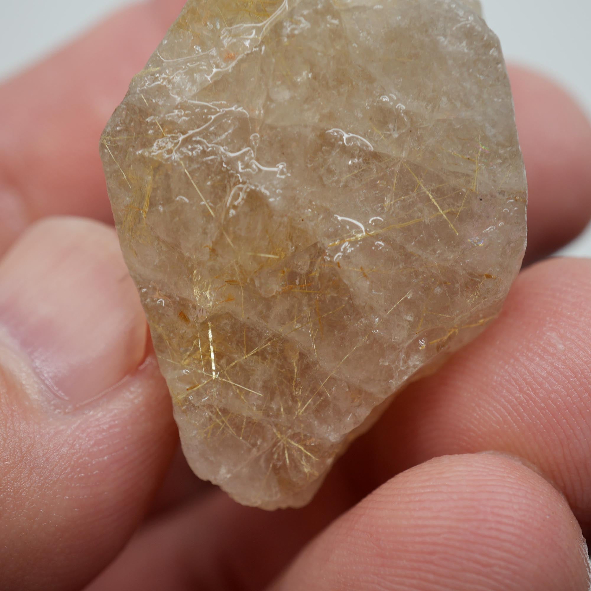 Rutilated Quartz - Golden Rutile in Clear Quartz - Brazil Specimen