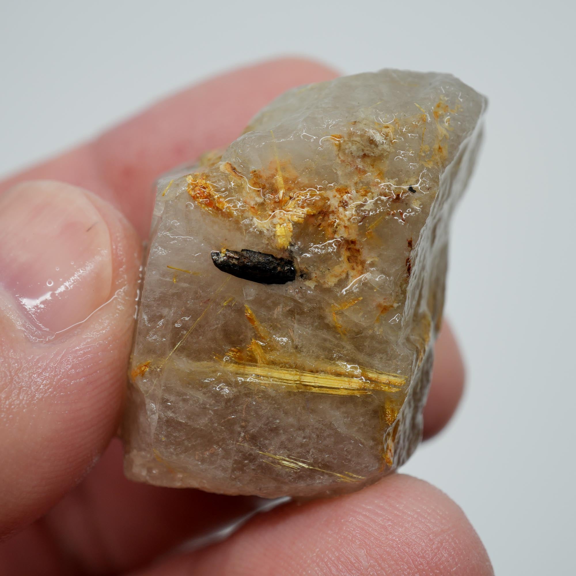 Rutilated Quartz - Natural Needle Quartz - Brazilian Crystal Specimen