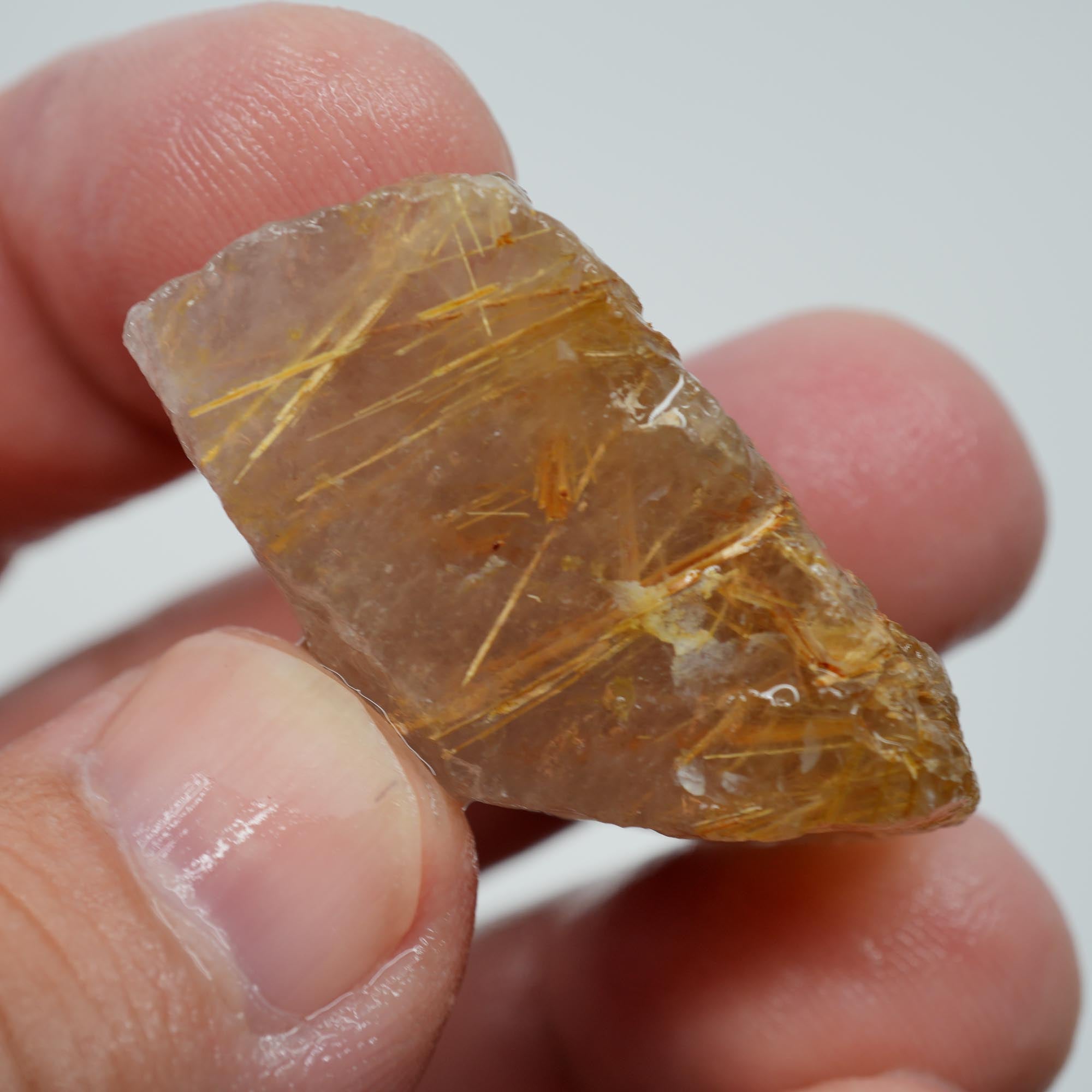 Rutilated Quartz - Golden Sagenite Needles - Brazil Specimen