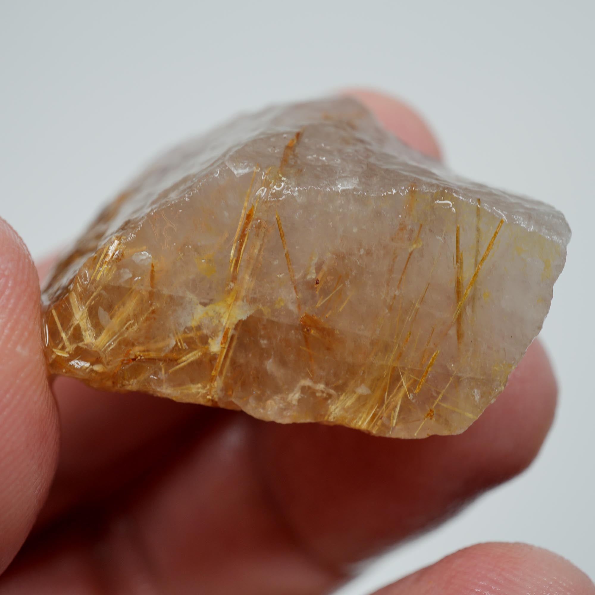 Rutilated Quartz - Golden Sagenite Needles - Brazil Specimen