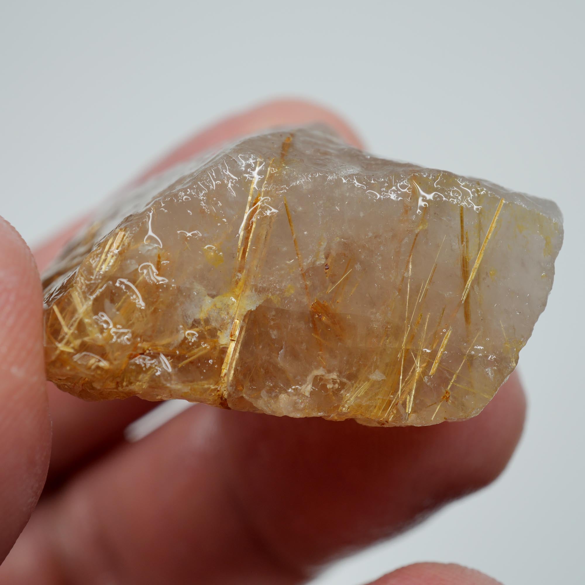 Rutilated Quartz - Golden Sagenite Needles - Brazil Specimen