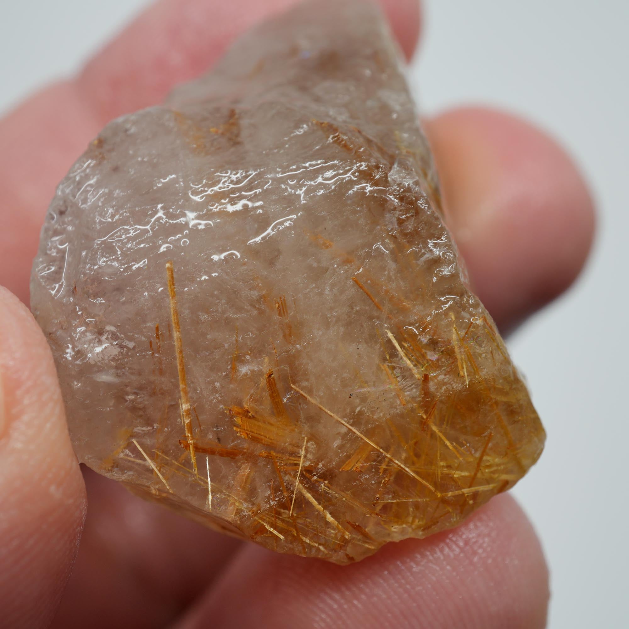 Rutilated Quartz - Golden Sagenite Needles - Brazil Specimen